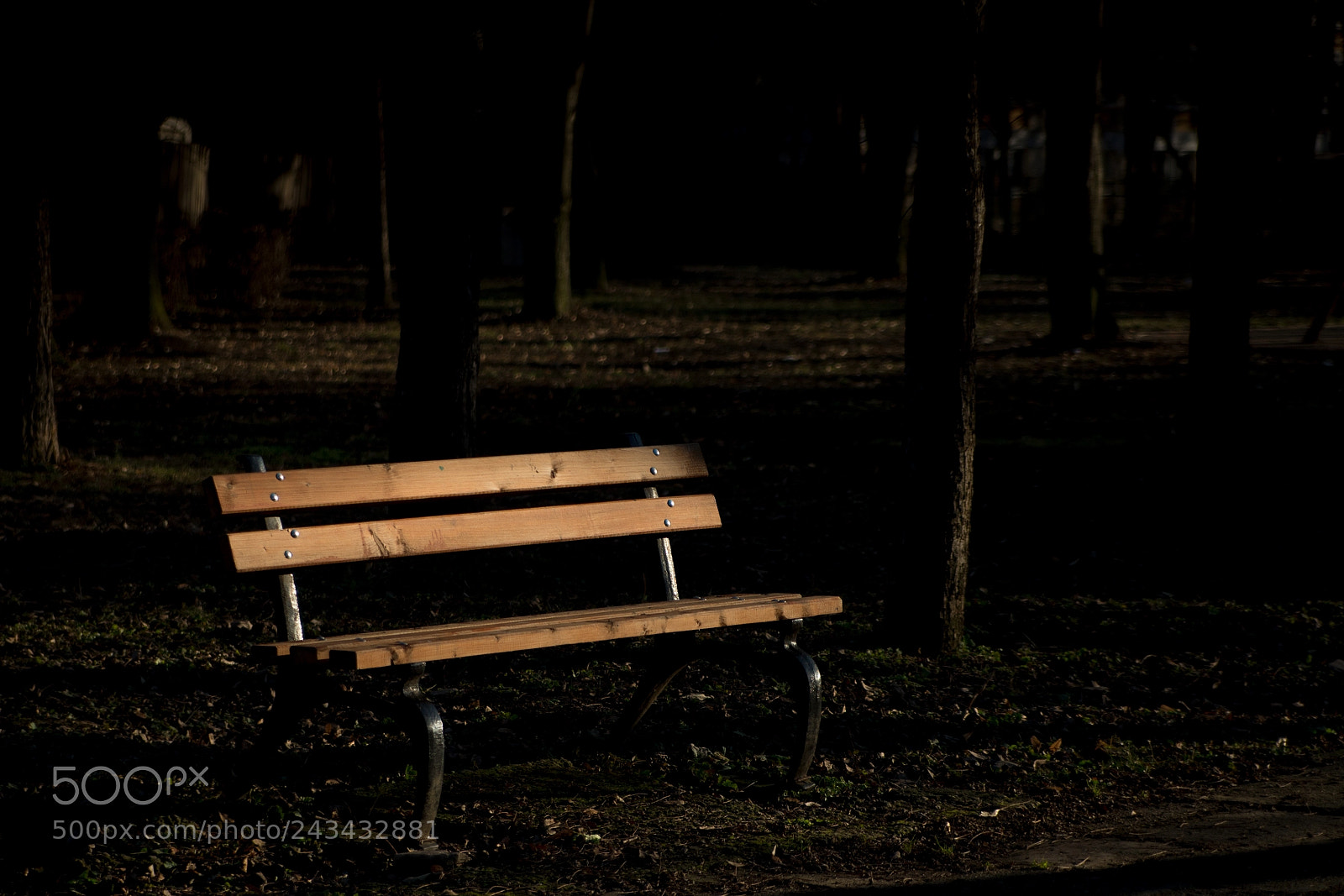 Nikon D610 sample photo. Bench photography