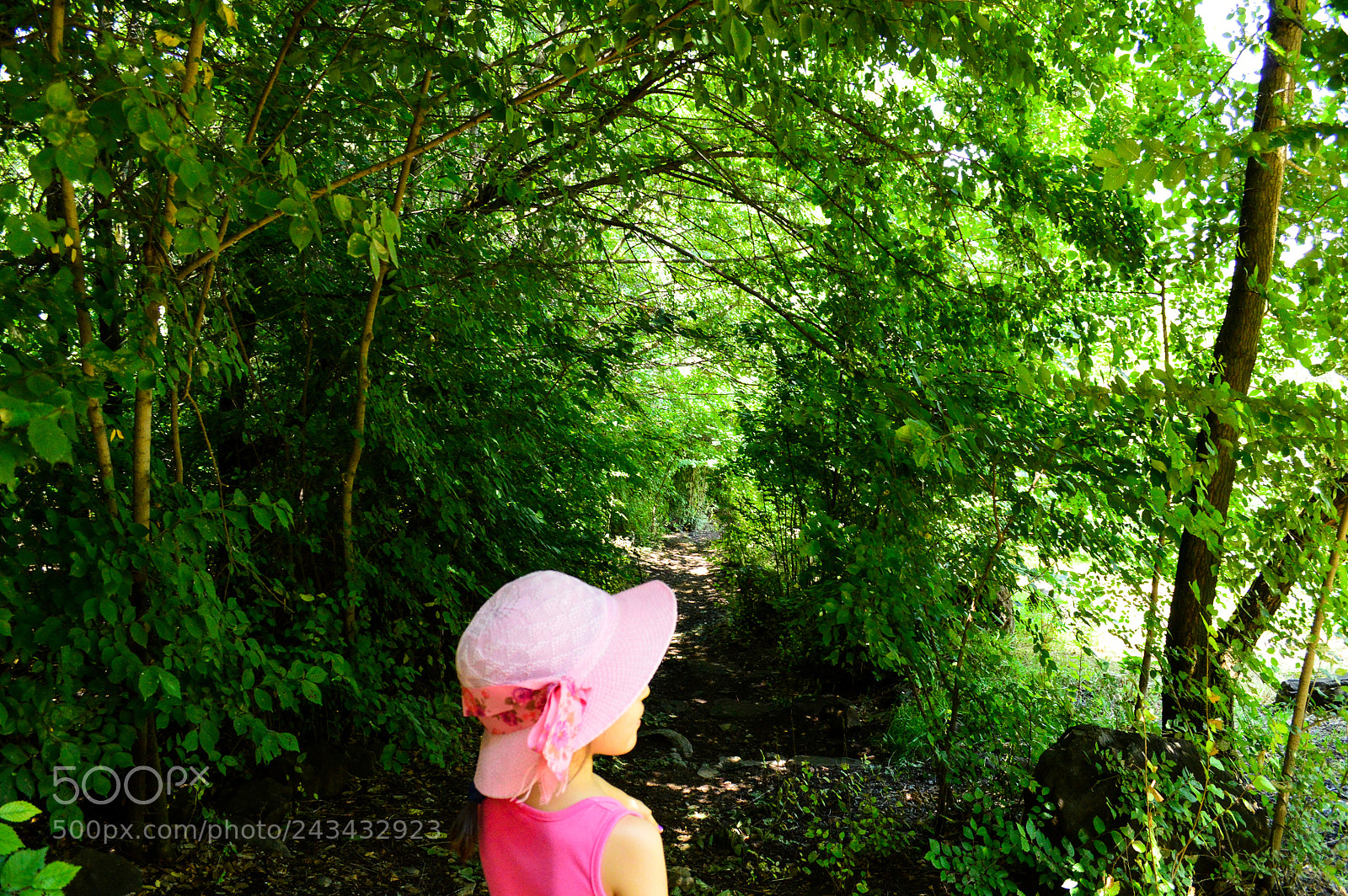 Nikon D3200 sample photo. Magical path photography