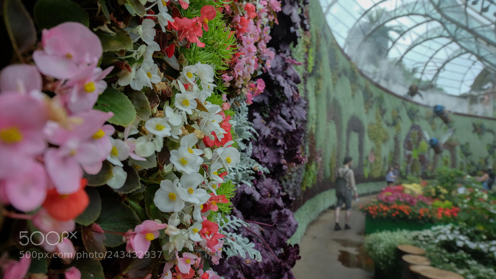 Fujifilm X-T10 sample photo. Living wall at the photography