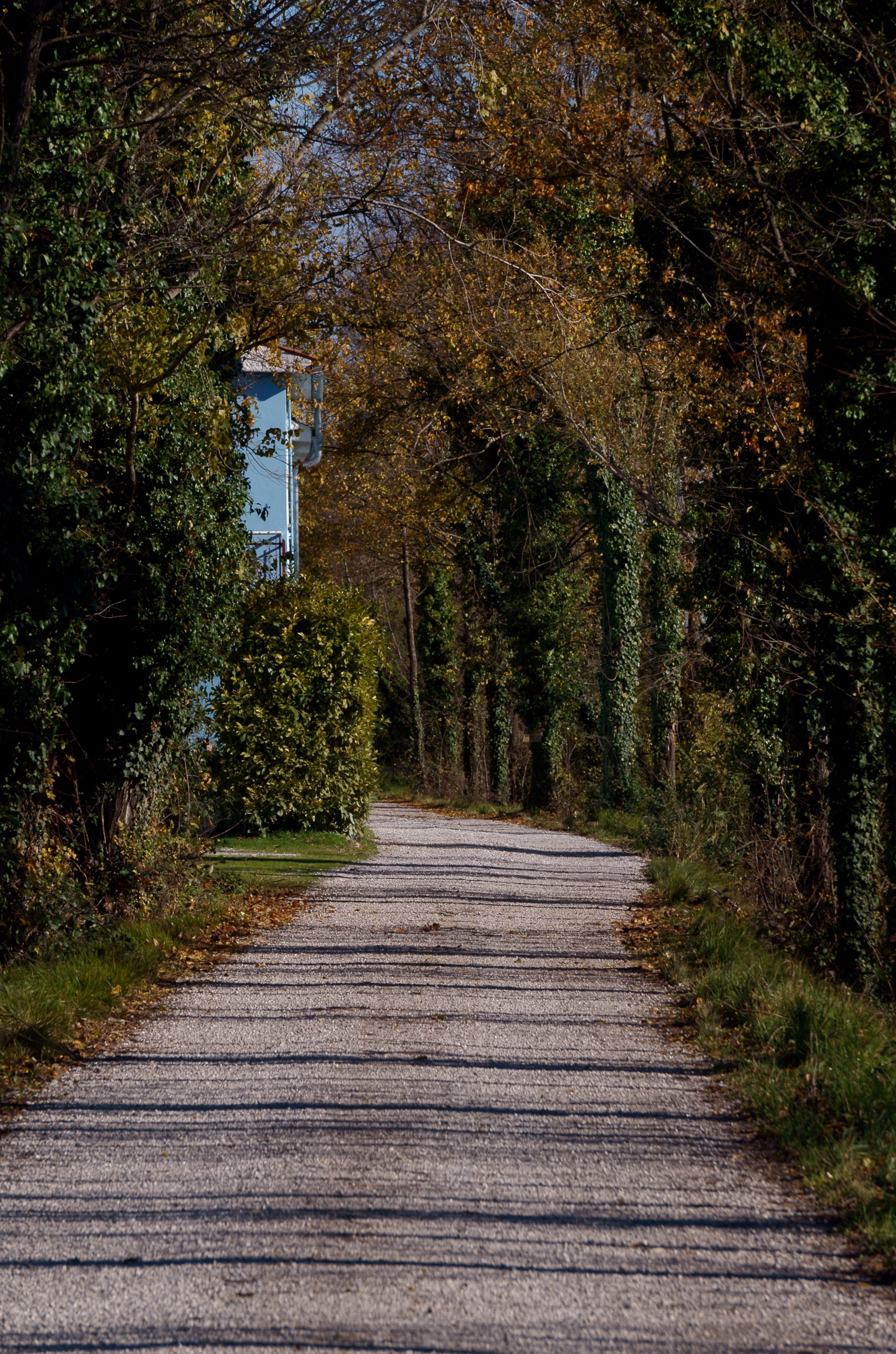 Sony Alpha NEX-F3 sample photo. Colors of a country road photography