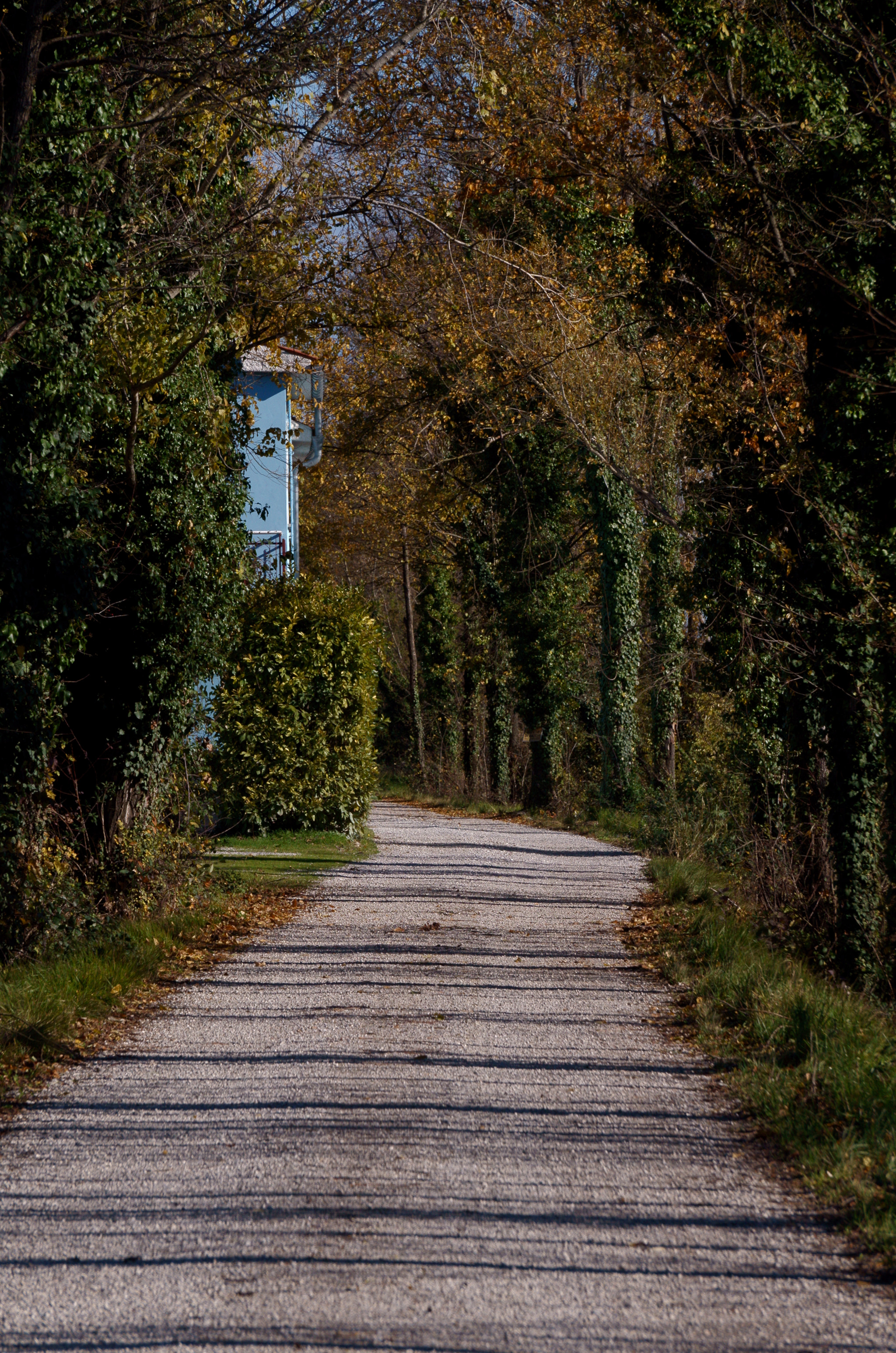 Sony FE 24-240mm F3.5-6.3 OSS sample photo. Colors of a country road photography
