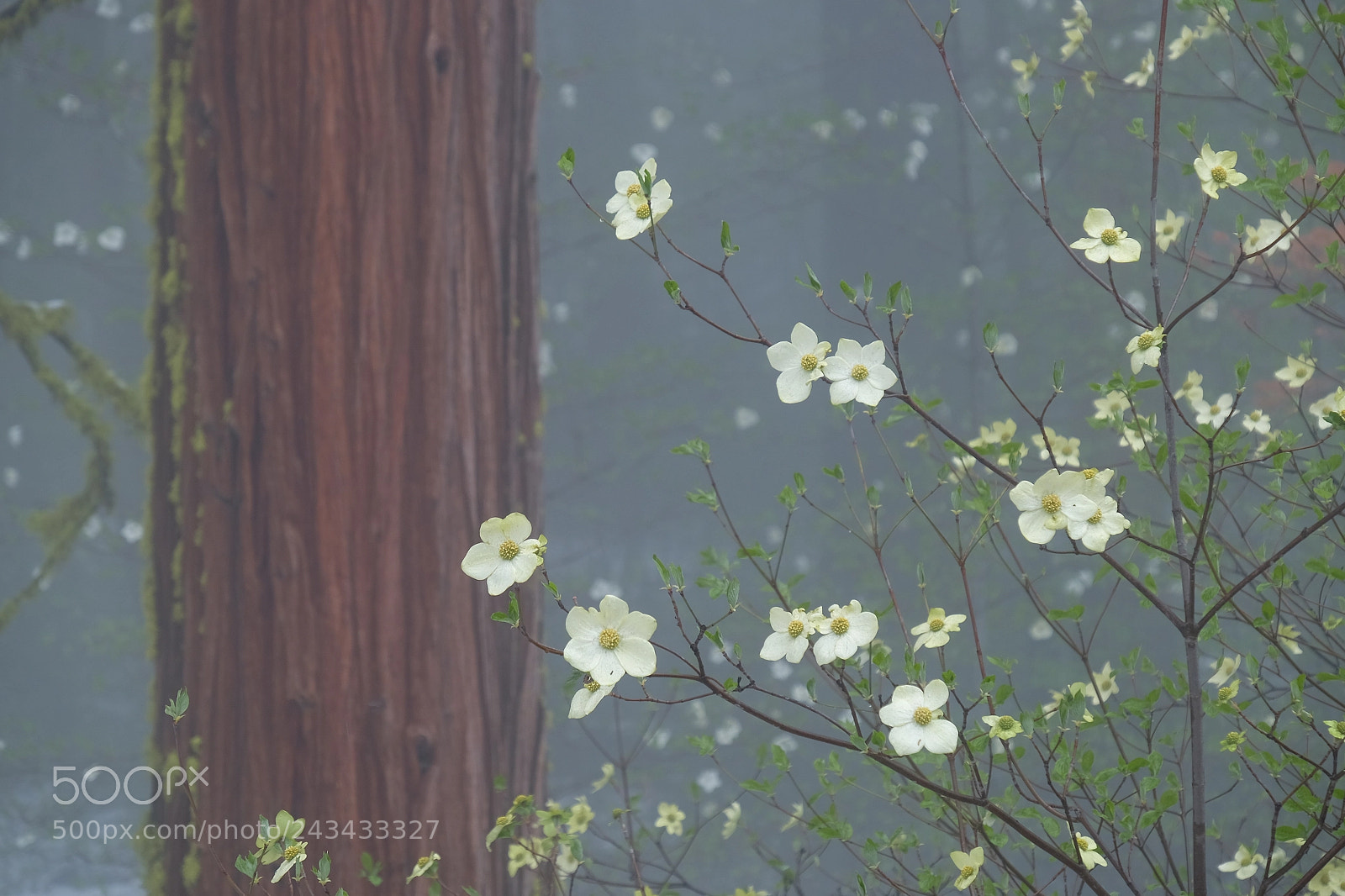 Fujifilm X-T1 sample photo. ... photography
