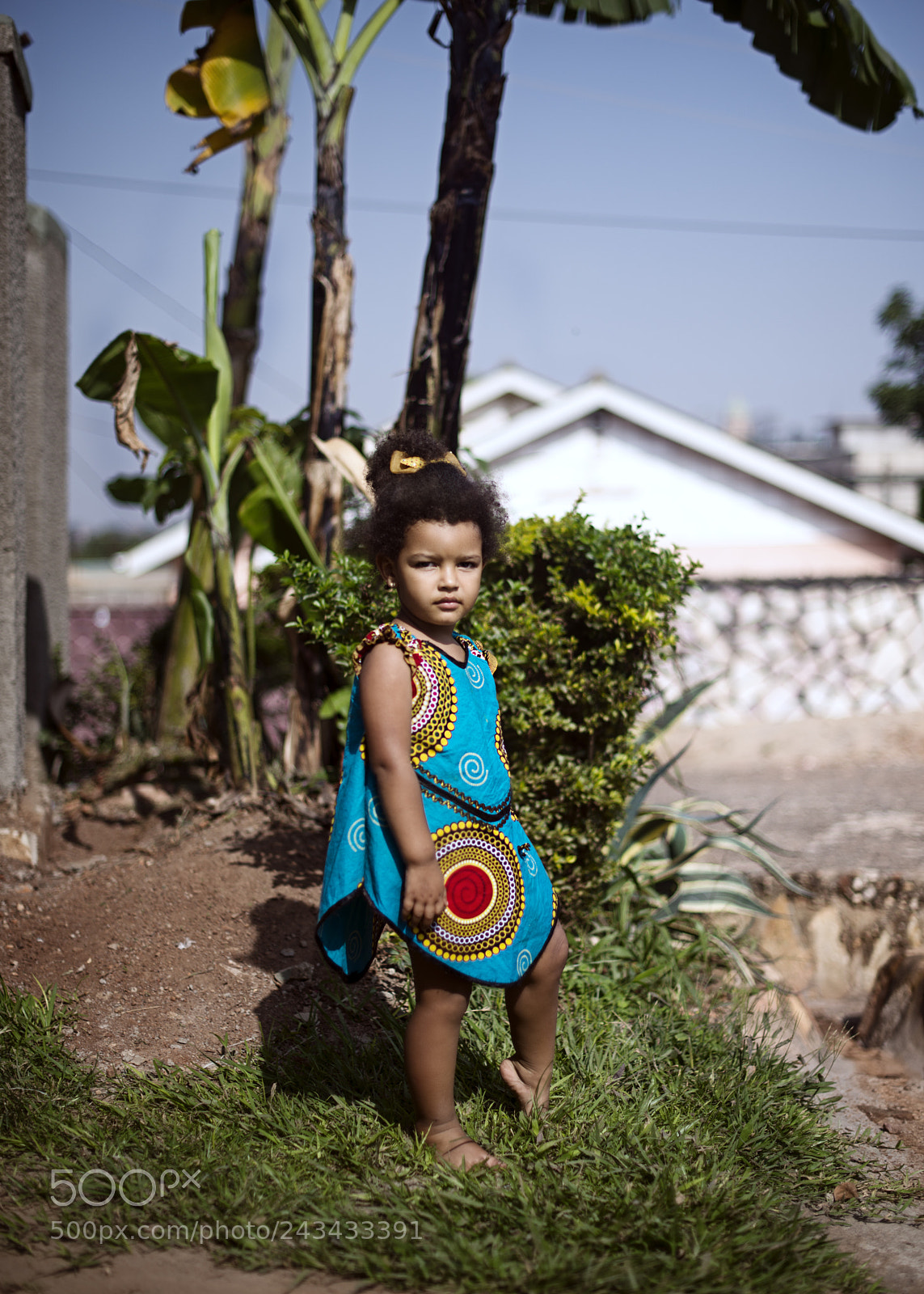 Nikon D800 sample photo. Green photography