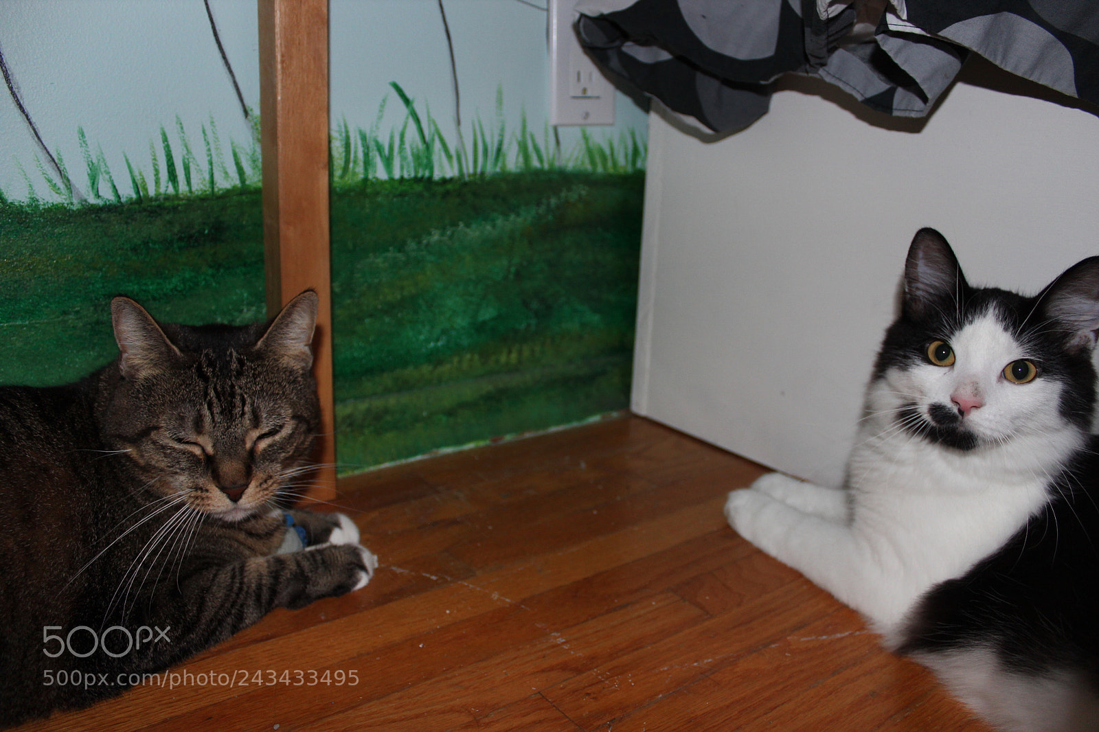 Canon EOS 600D (Rebel EOS T3i / EOS Kiss X5) sample photo. Img photography