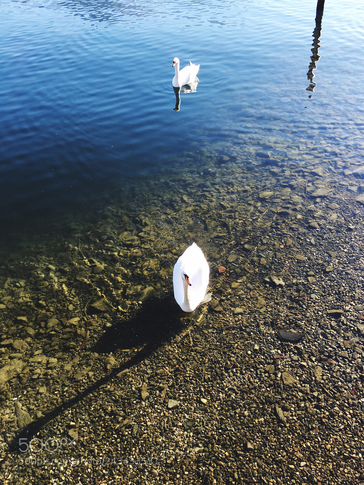 Apple iPhone 6s sample photo. Untitled photography