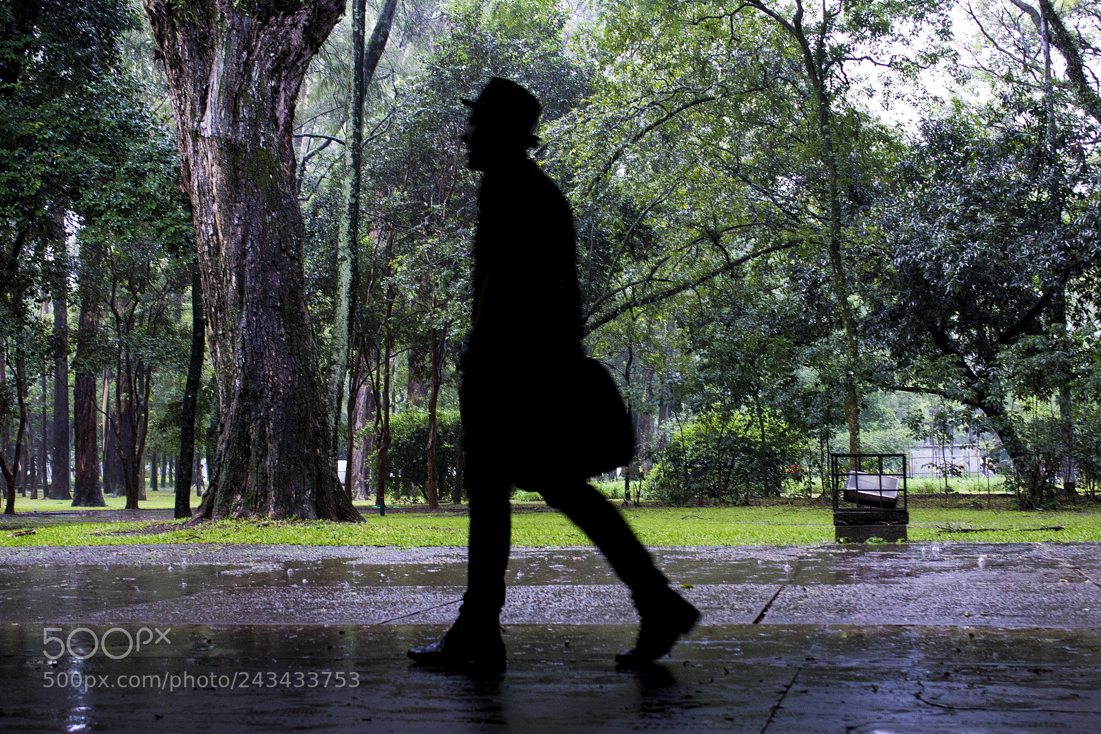 Canon EOS 1200D (EOS Rebel T5 / EOS Kiss X70 / EOS Hi) sample photo. Chuva - ibirapuera photography