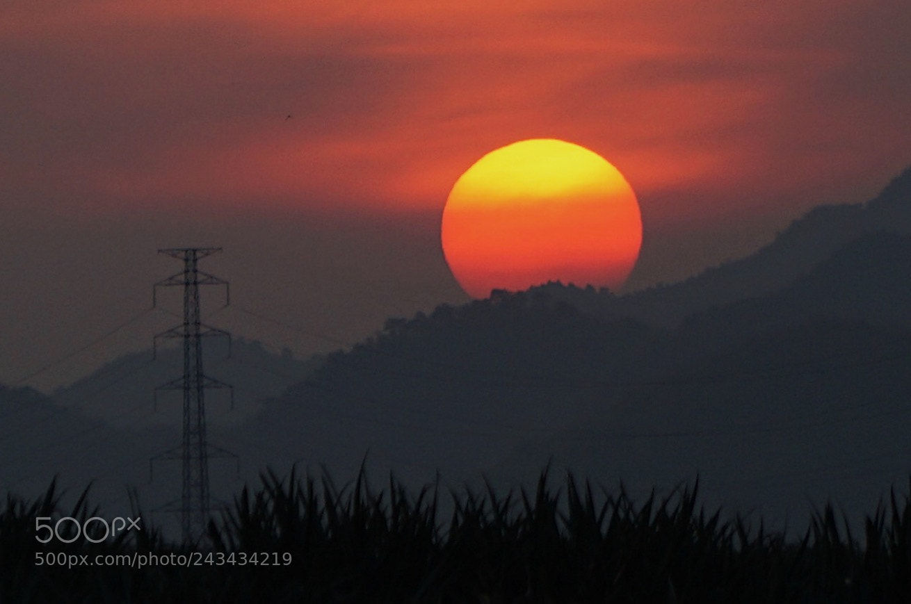 Sony a5100 sample photo. ∞ photography