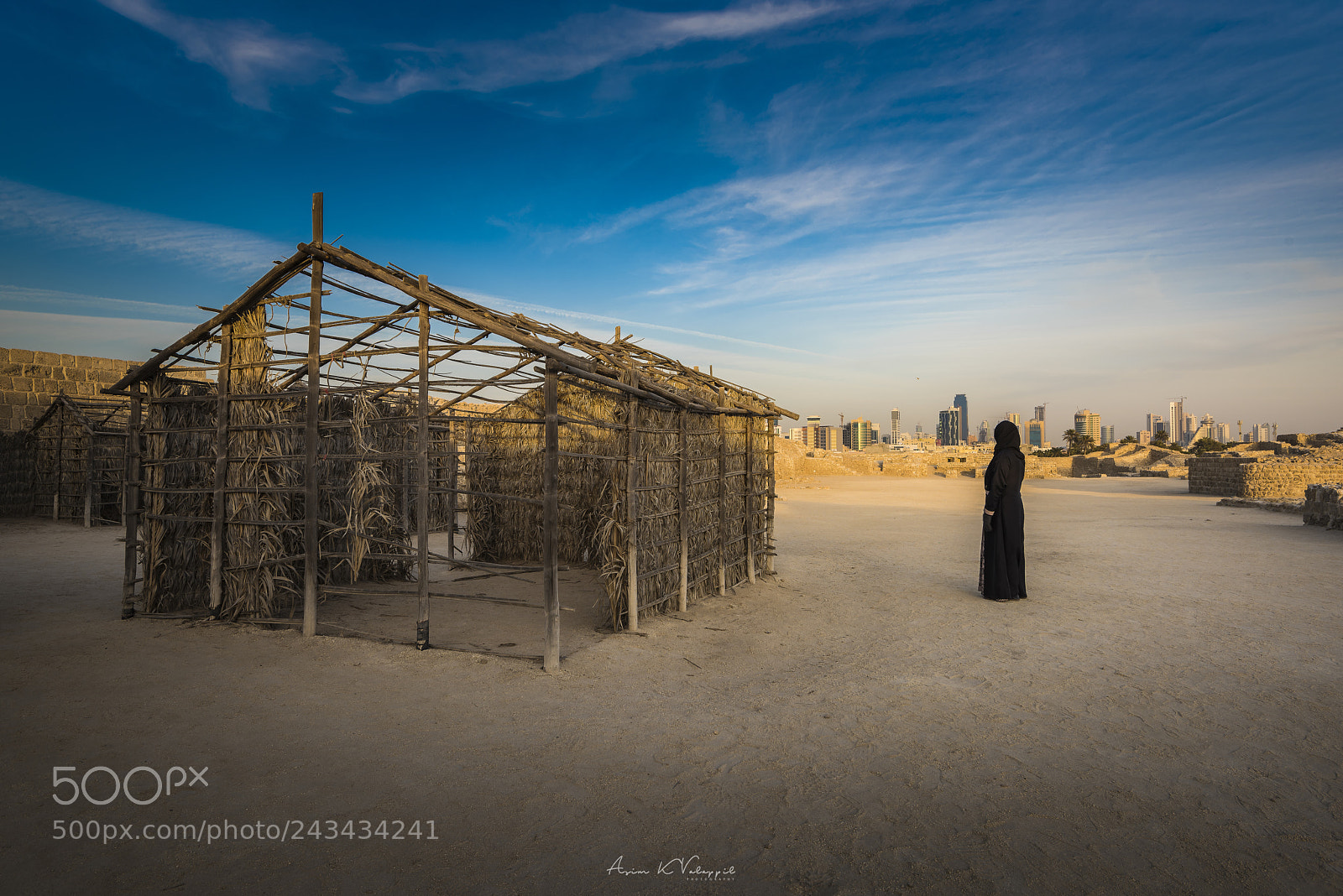 Nikon D810 sample photo. Past to present photography