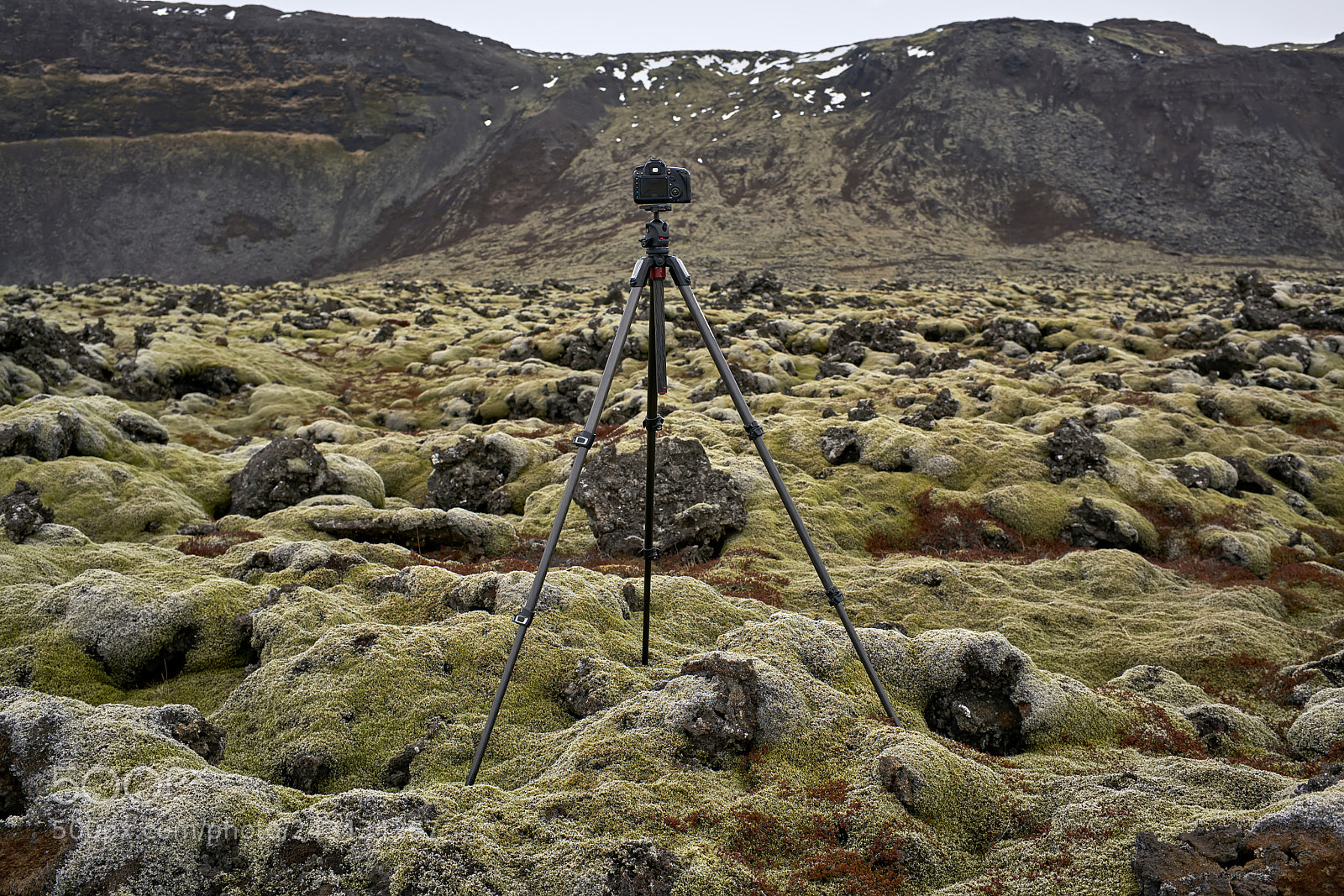 Sony a7R II sample photo. Tripod with camera on photography