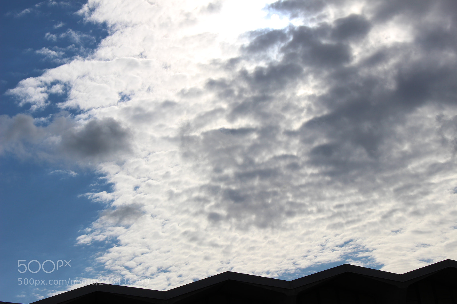 Canon EOS 100D (EOS Rebel SL1 / EOS Kiss X7) sample photo. Here to stay photography