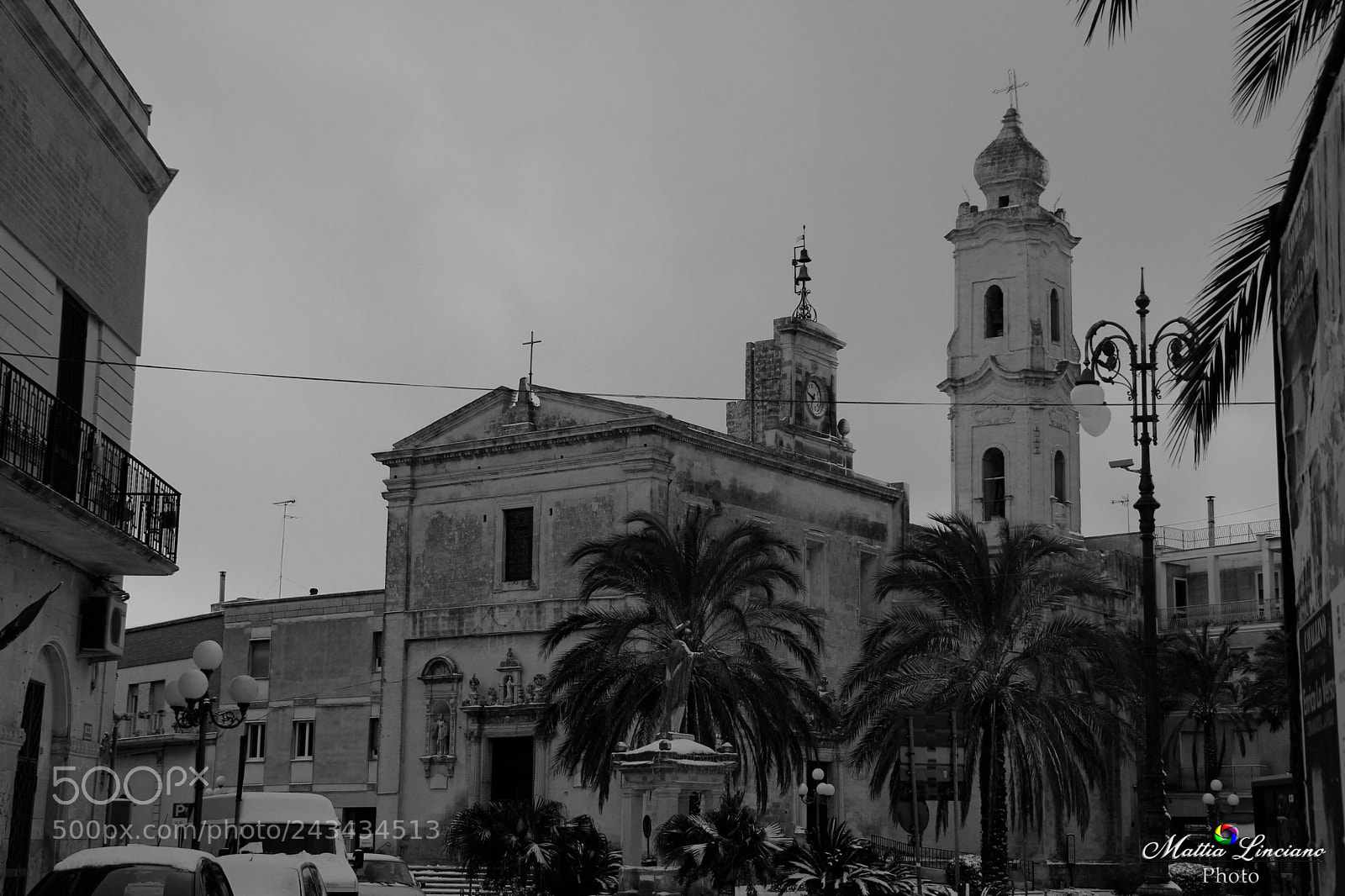 Canon EOS 60D sample photo. Cavallino innevato b&n photography