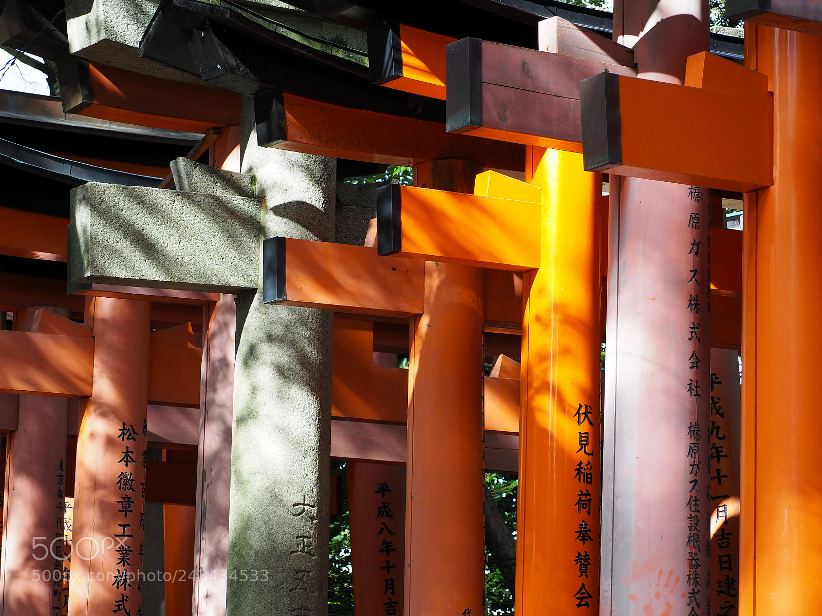 Olympus OM-D E-M10 II sample photo. Torii photography