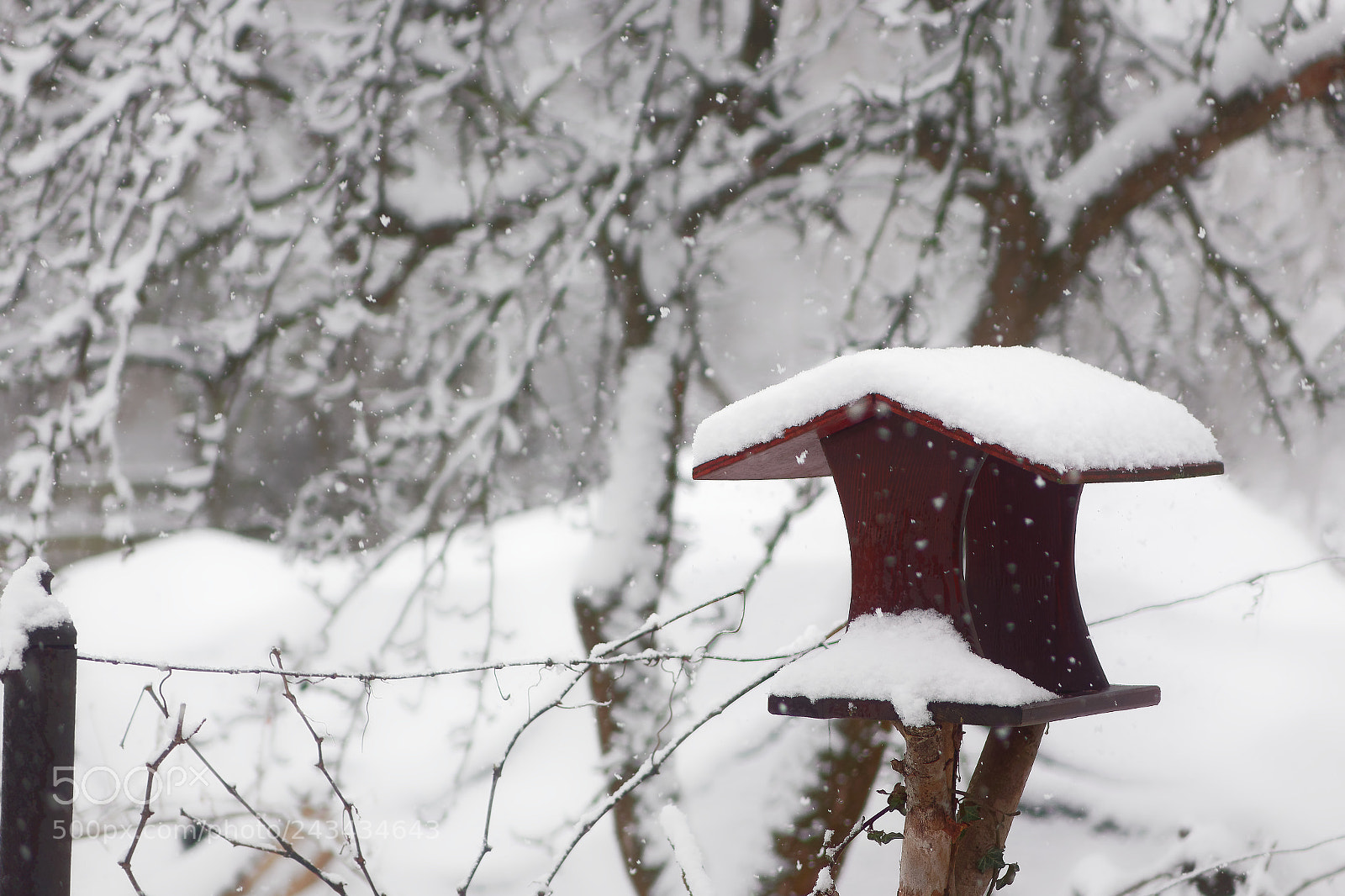 Sony Cyber-shot DSC-RX10 sample photo. Winter moment photography