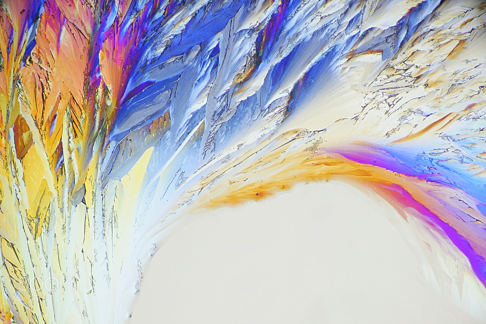 Canon EF 100mm F2.8L Macro IS USM sample photo. Science and art photography