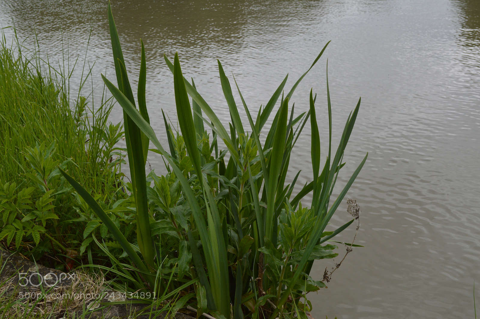Nikon D3200 sample photo. Dsc photography