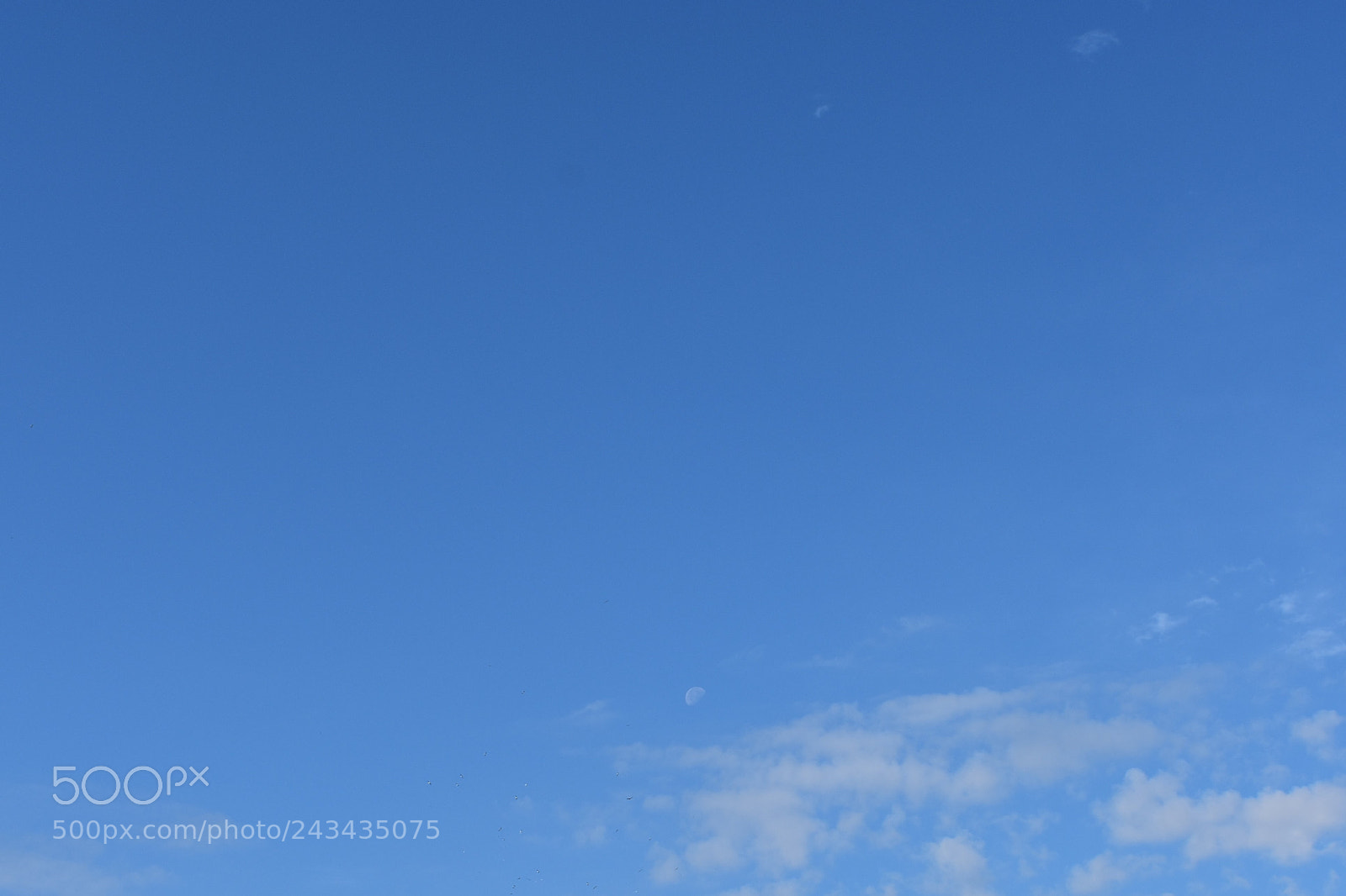 Nikon D3400 sample photo. Unnoticed it remains photography