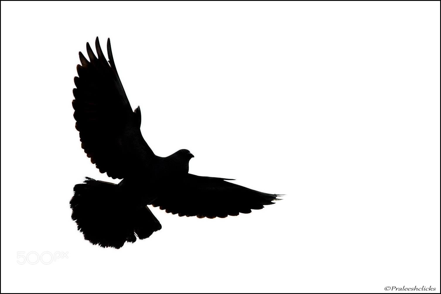 Nikon D500 sample photo. High key silhouette.... photography