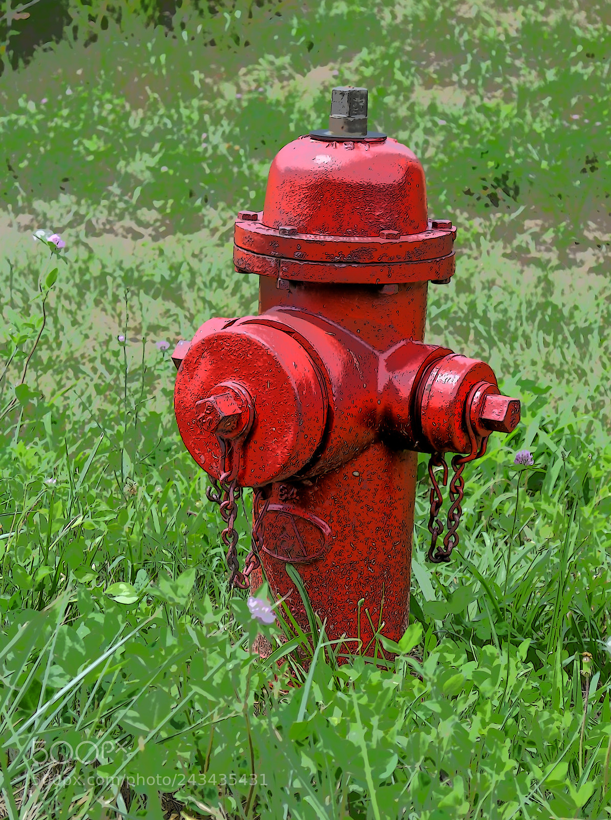 Nikon D5100 sample photo. Red fire hydrant in photography