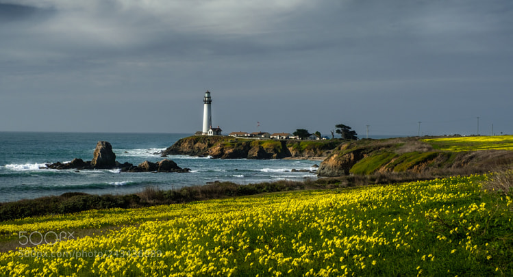 Fujifilm X-T2 sample photo. Pigeon point lighthouse photography