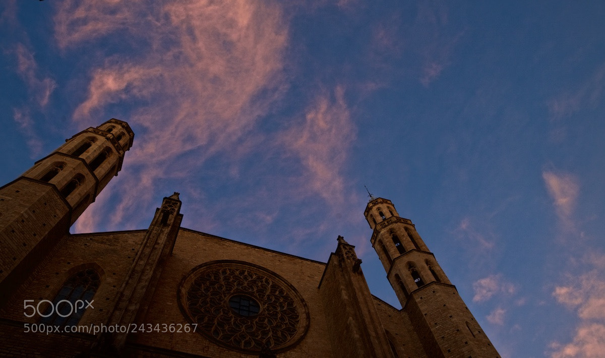 Nikon D5 sample photo. Santa maria del mar photography