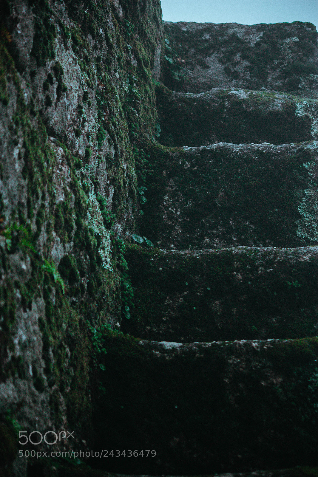 Canon EOS 450D (EOS Rebel XSi / EOS Kiss X2) sample photo. Stairway to heaven photography