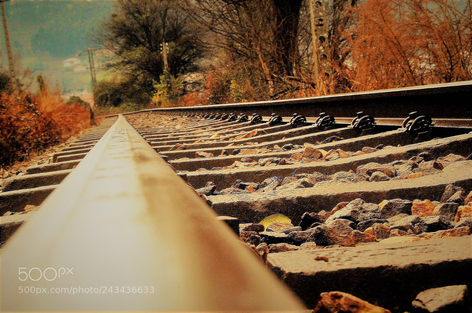 Nikon D40 sample photo. By train 2018 photography