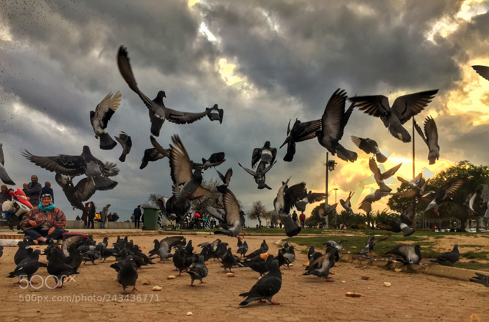 Apple iPhone 6 sample photo. Feeding time photography
