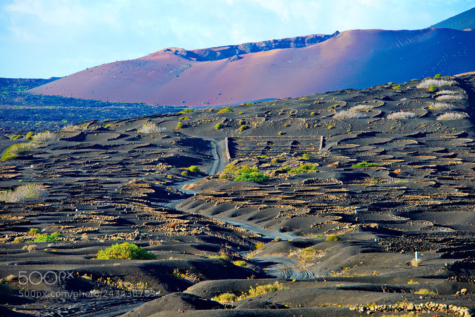 Nikon D800 sample photo. Volcano and vineyards in photography