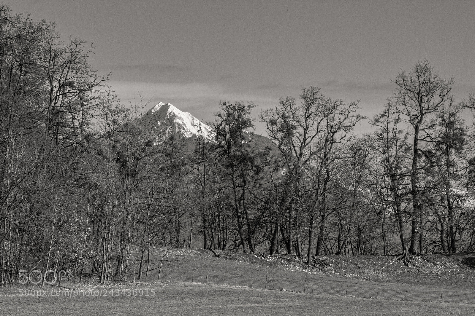 Canon EOS 550D (EOS Rebel T2i / EOS Kiss X4) sample photo. Mountain photography