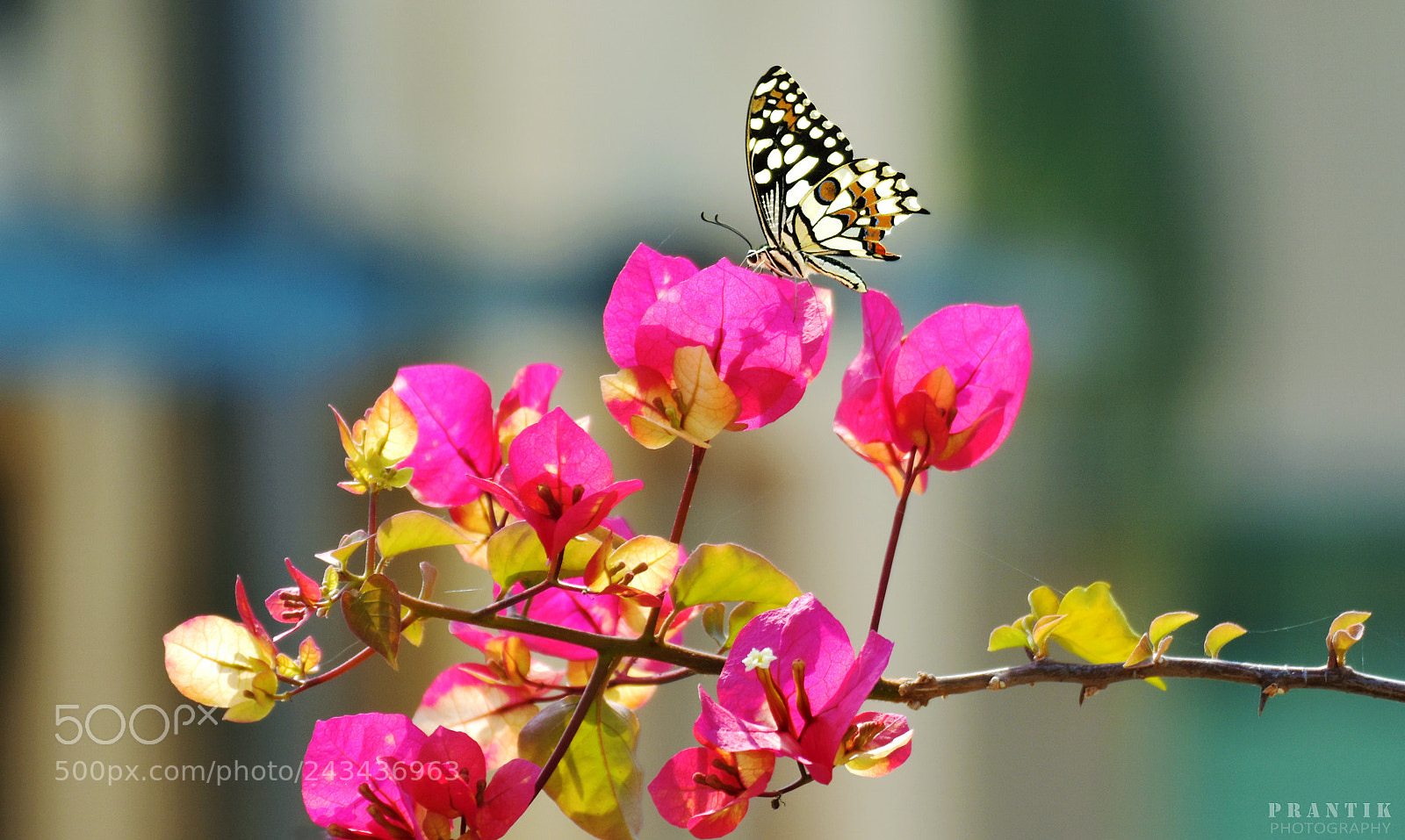 Nikon D5500 sample photo. A perfect place for photography