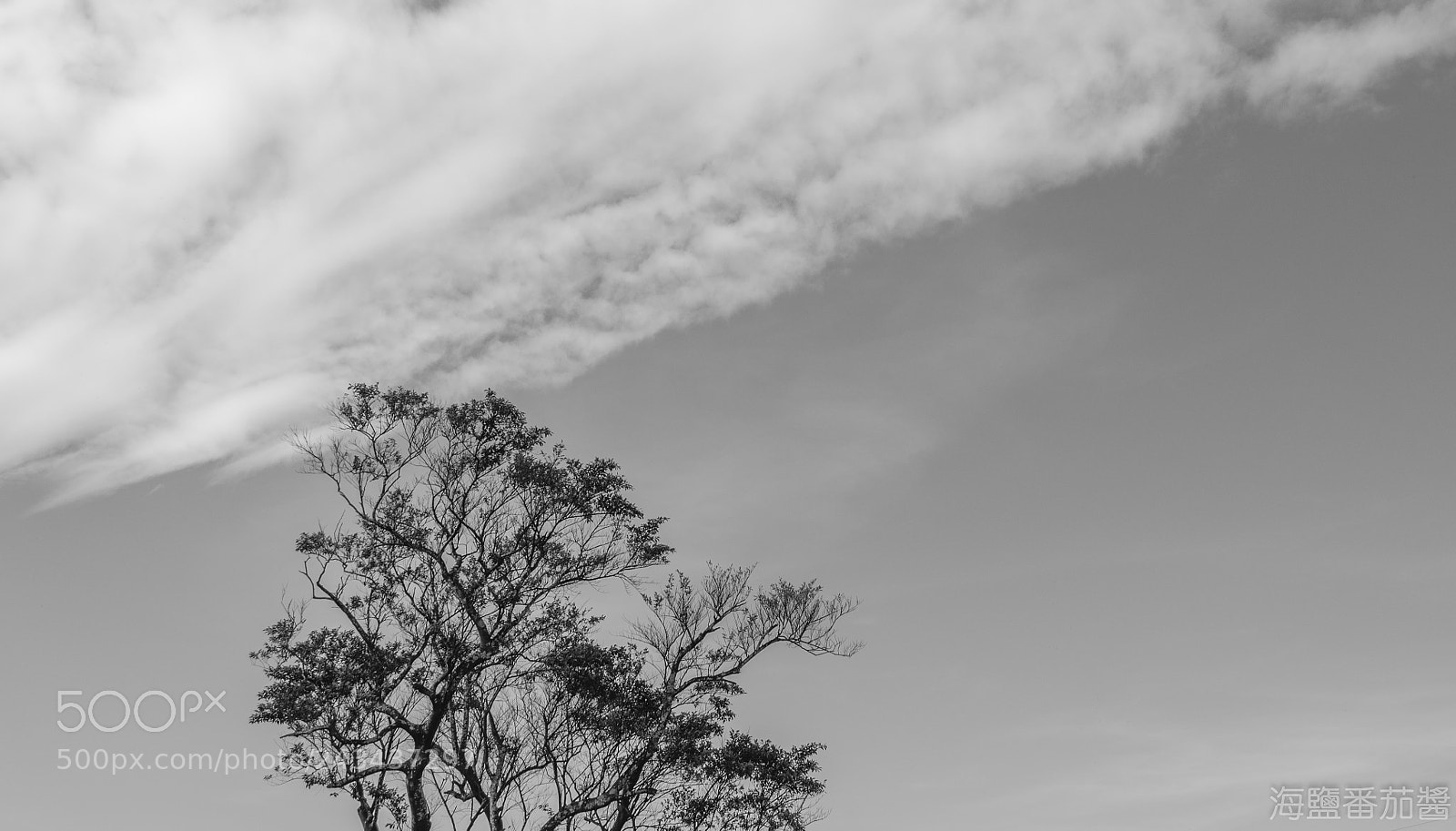 Nikon D5100 sample photo. The sky photography