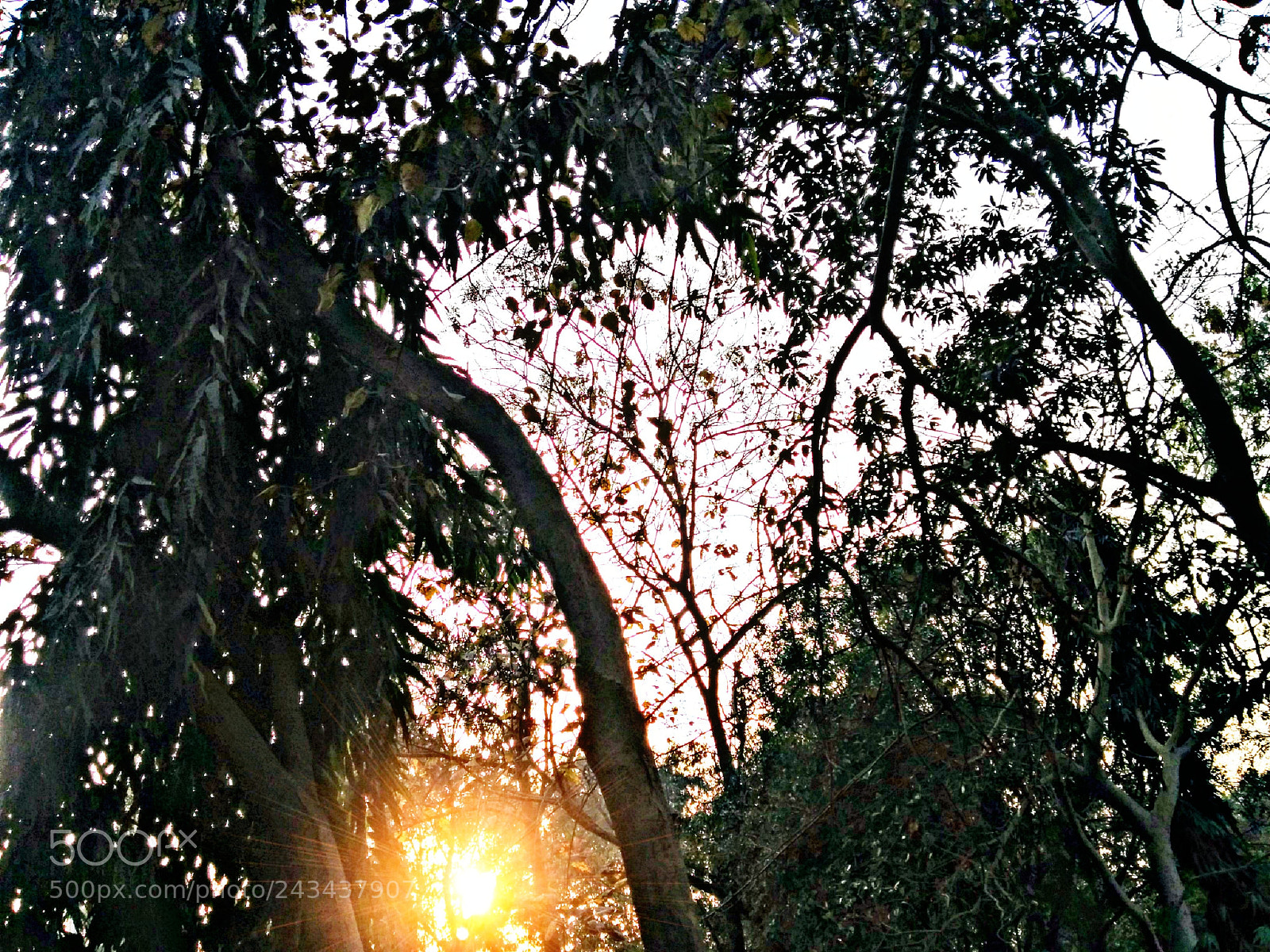 LG Nexus 5 sample photo. # sunset hide & see # photography