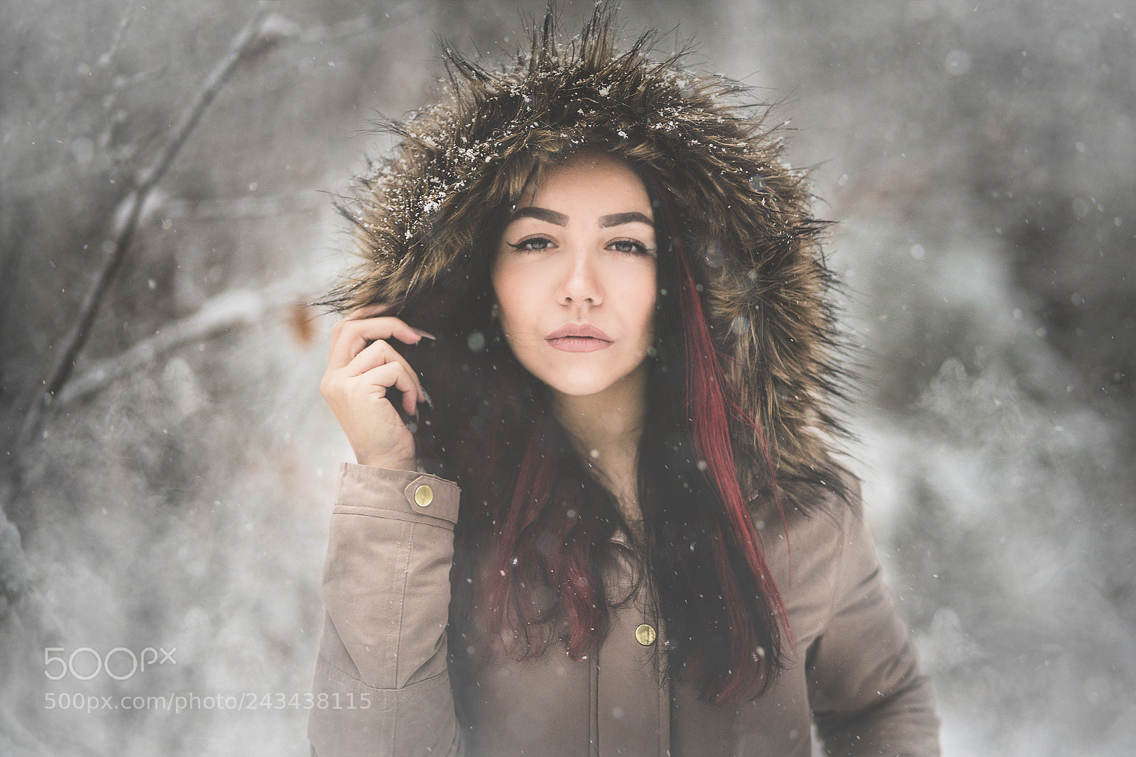 Sony a7R III sample photo. Winter set 1 photography