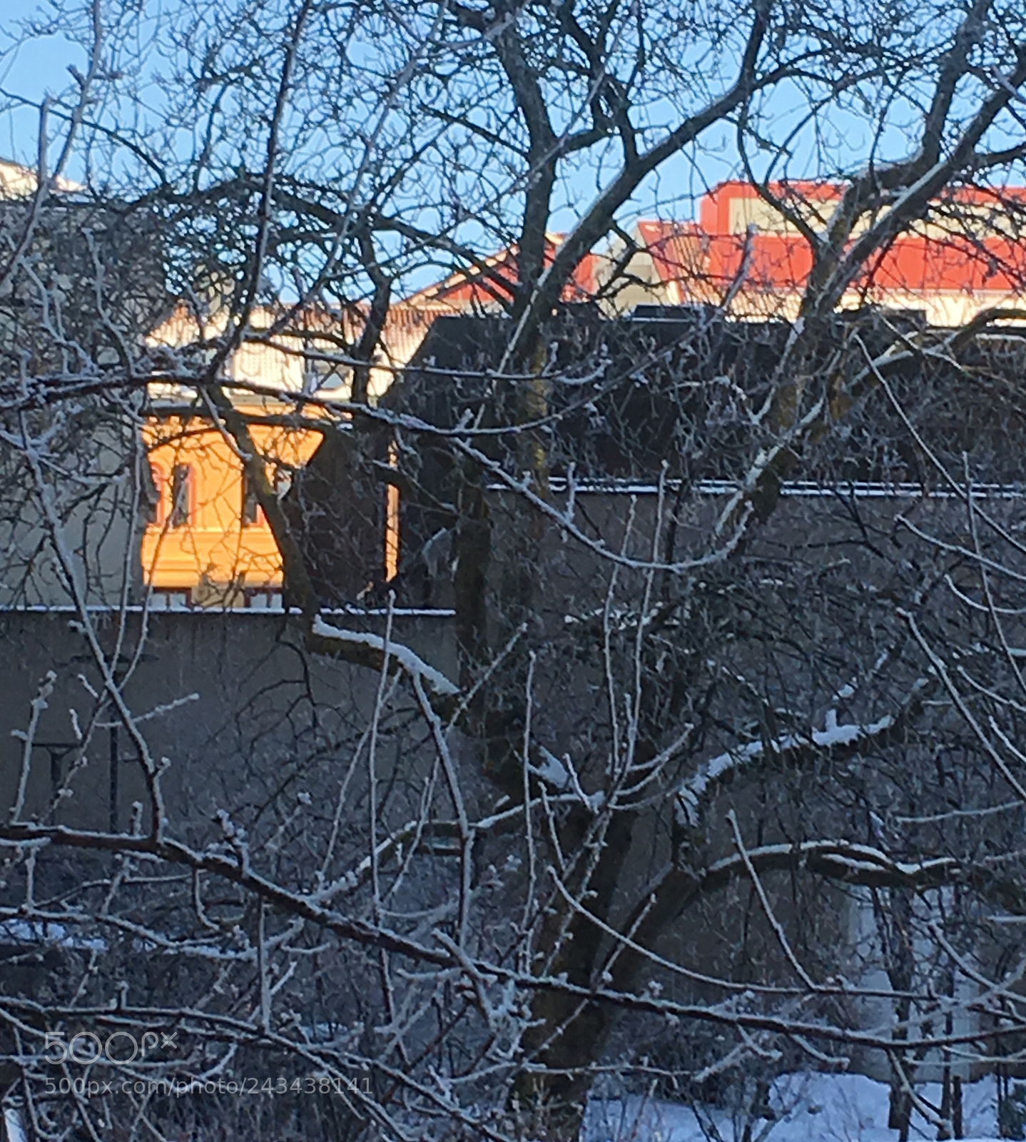 Apple iPhone SE sample photo. Winter photography