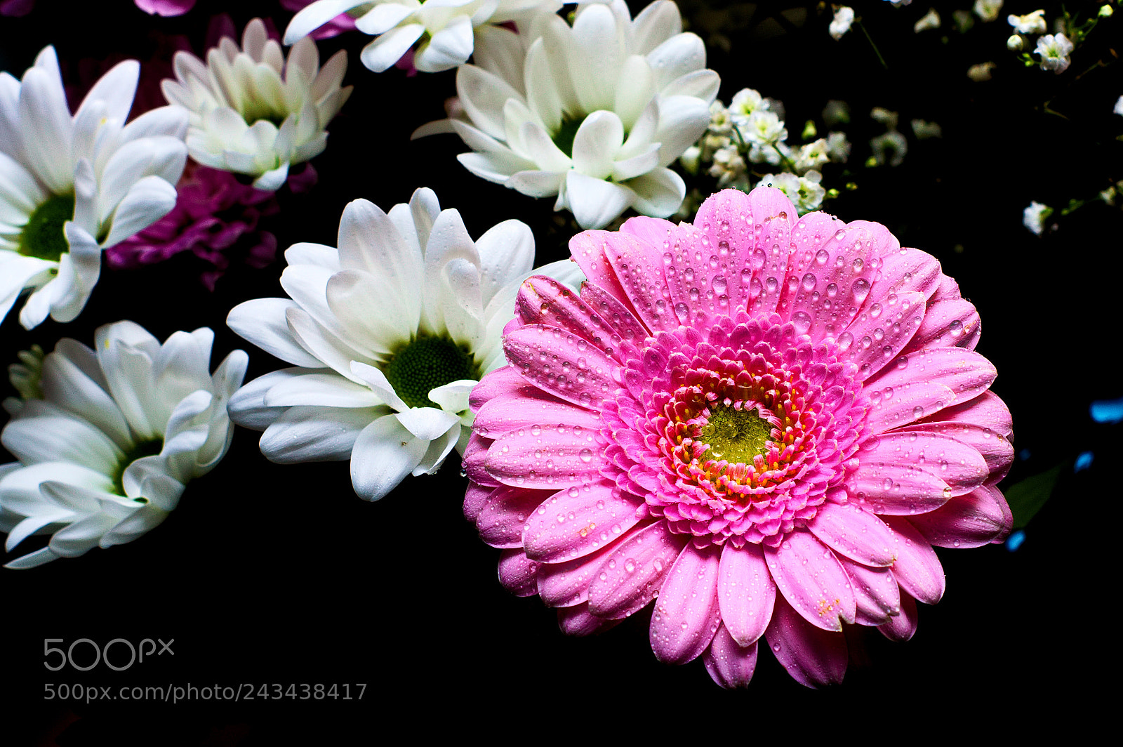 Nikon D3200 sample photo. In the pink photography