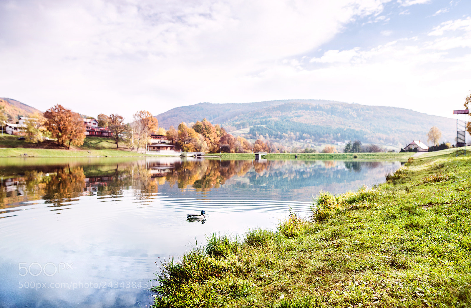 Nikon D4S sample photo. Ducks on a lake photography