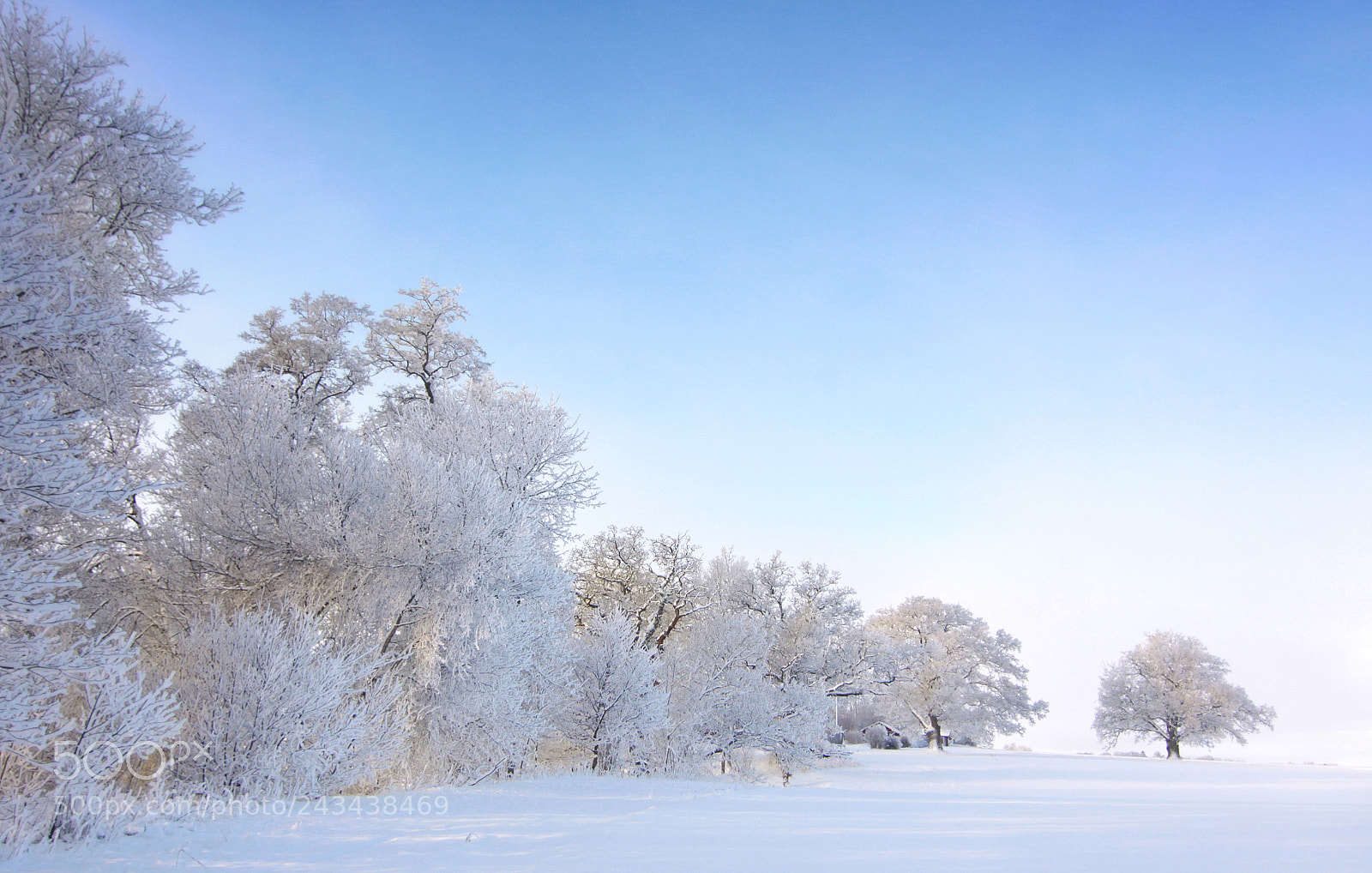 Canon EOS 50D sample photo. Winter photography