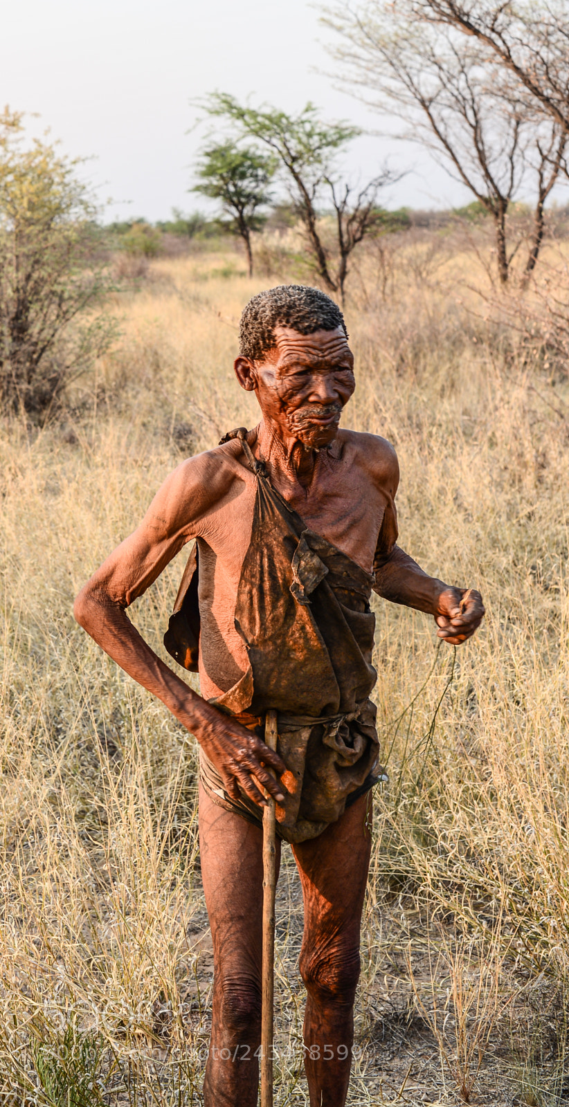 Nikon D610 sample photo. Bushman elder photography