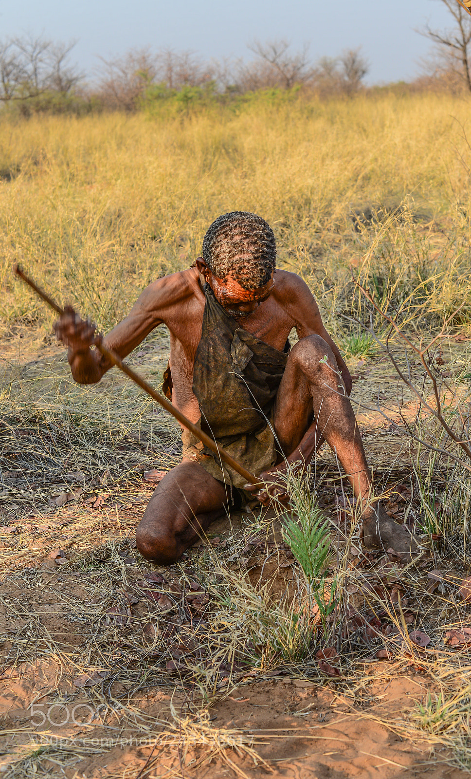 Nikon D610 sample photo. Sans bushman photography