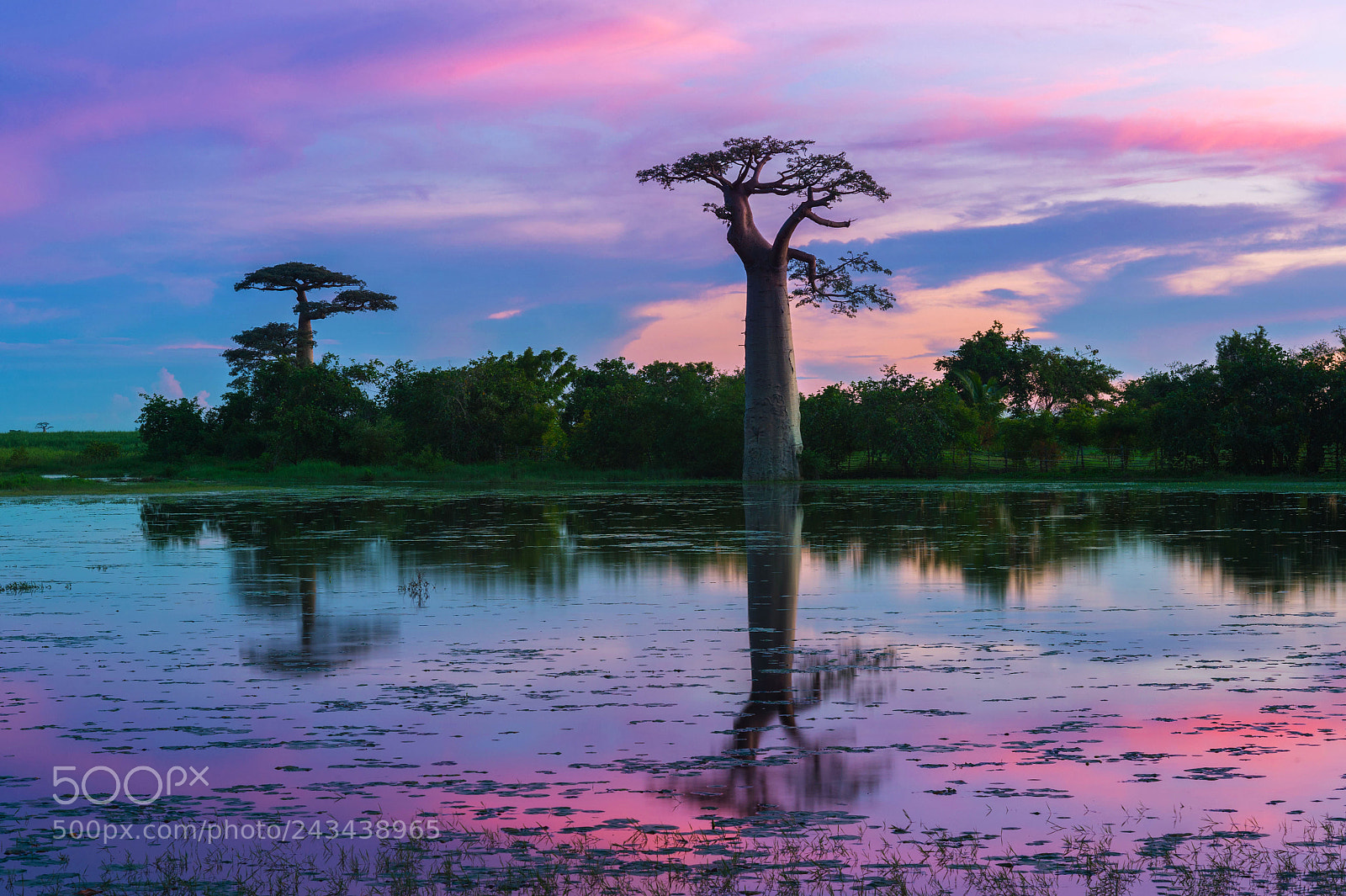 Nikon D4 sample photo. Madagascar evening photography