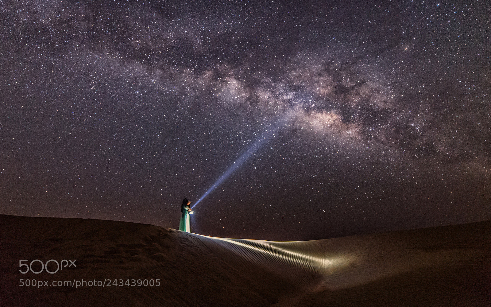 Nikon D610 sample photo. Under the milky way photography