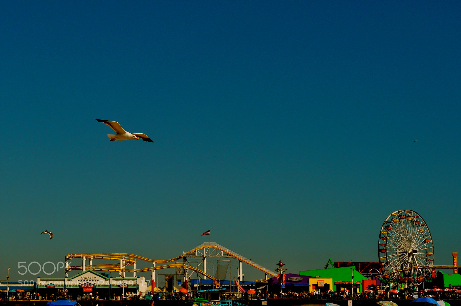 Nikon D5000 sample photo. 20.jpg photography
