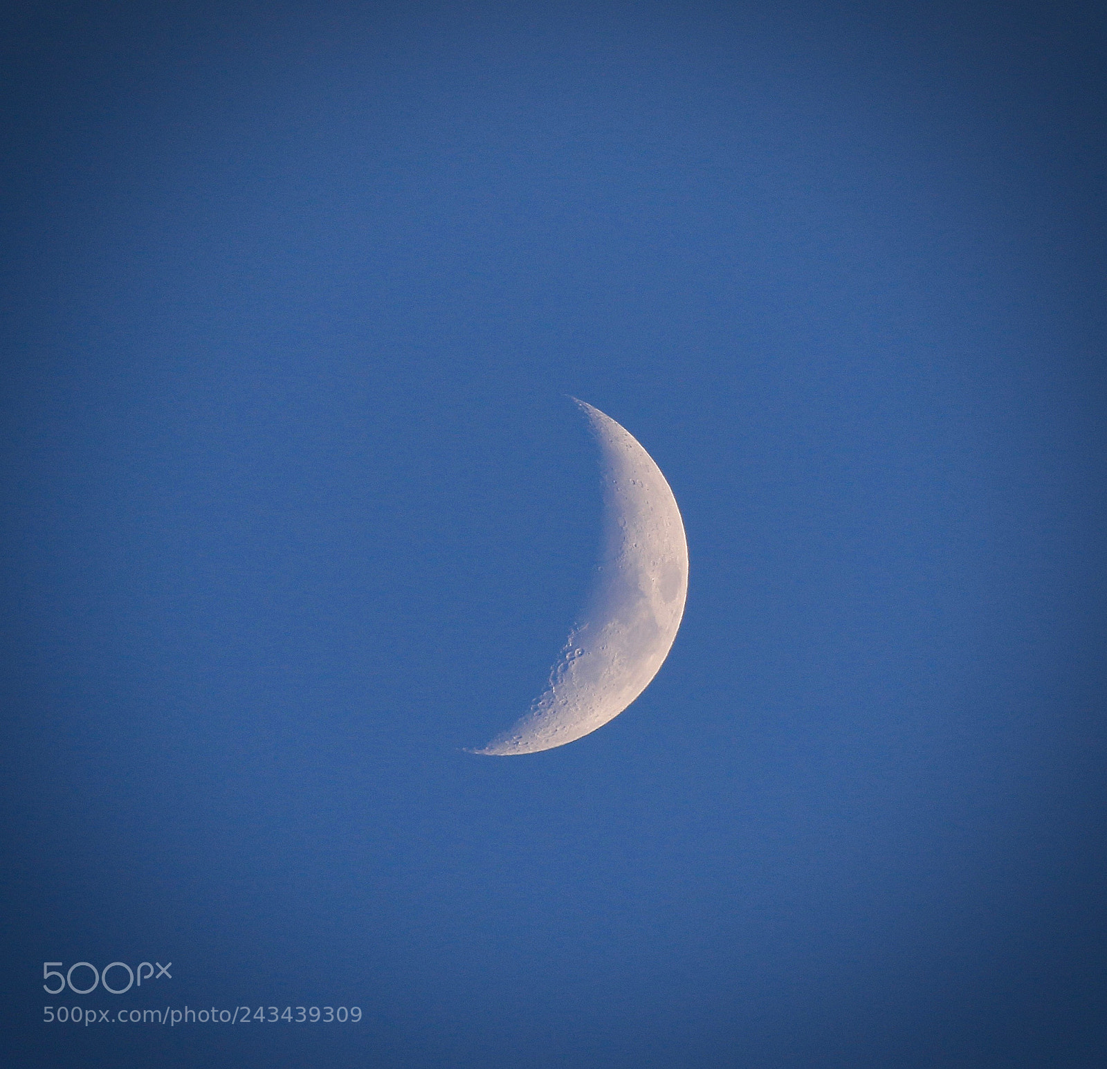 Canon EOS 7D Mark II sample photo. The moon this afternoon photography
