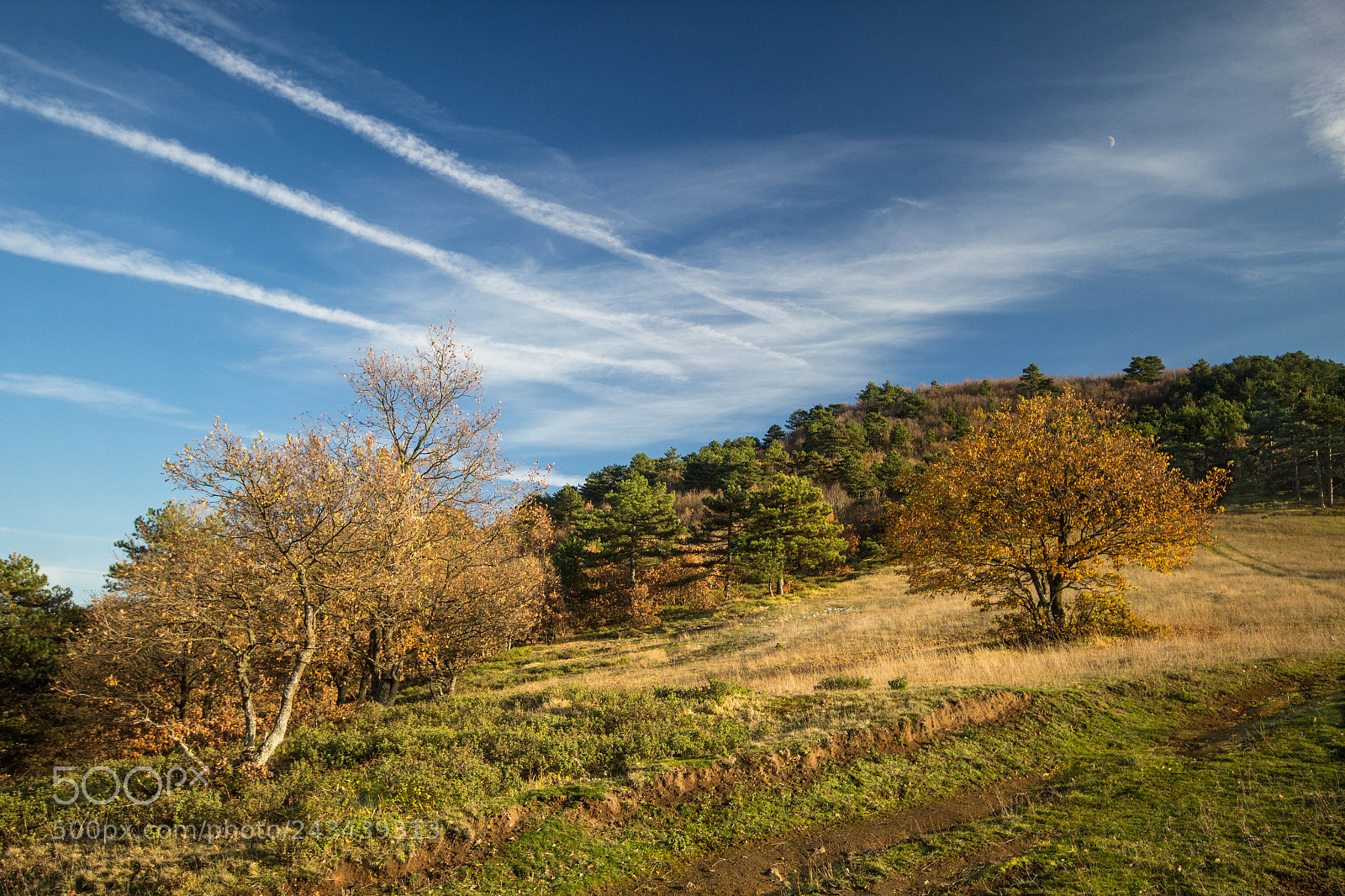 Canon EOS 60D sample photo. Drawn sky photography