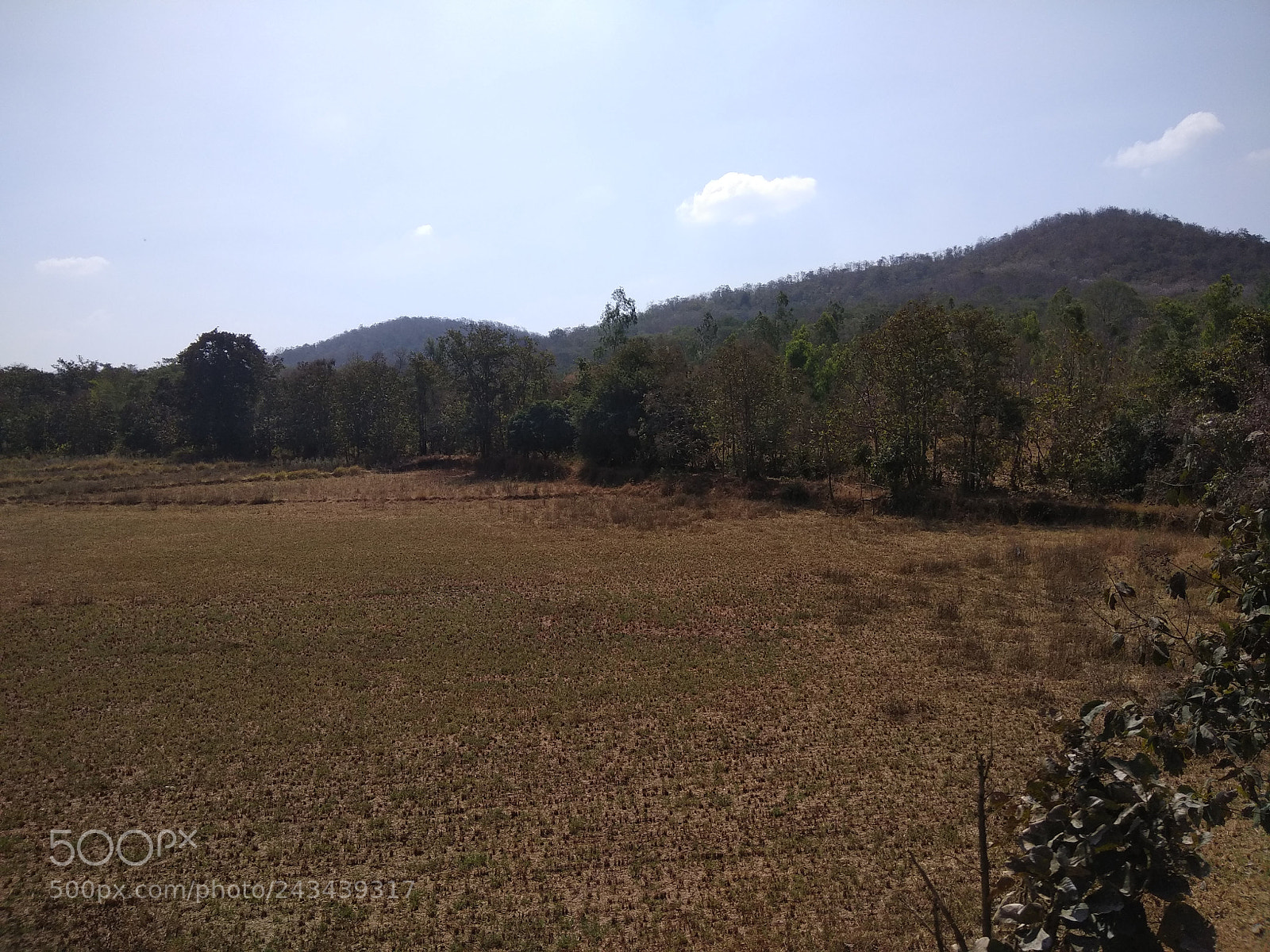 Xiaomi Redmi Note 4 sample photo. Img_20180111_123303.jpg photography