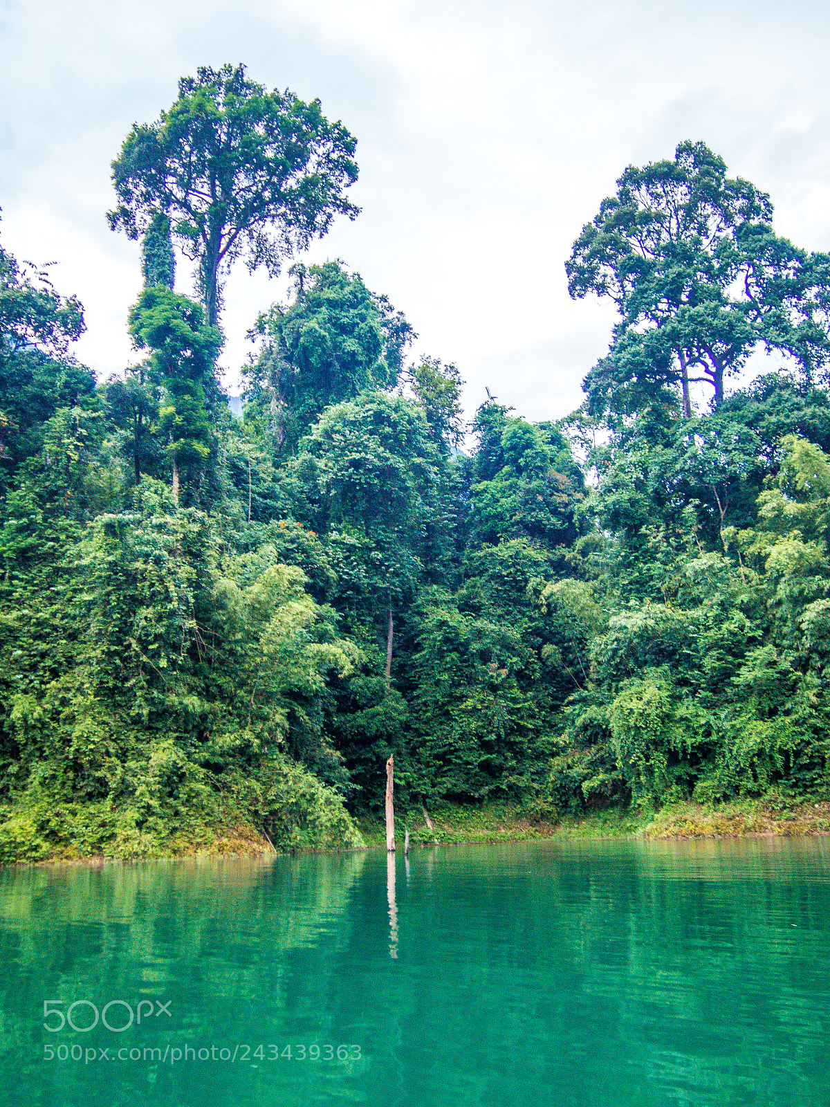 Olympus PEN E-PL6 sample photo. View from khao sok photography