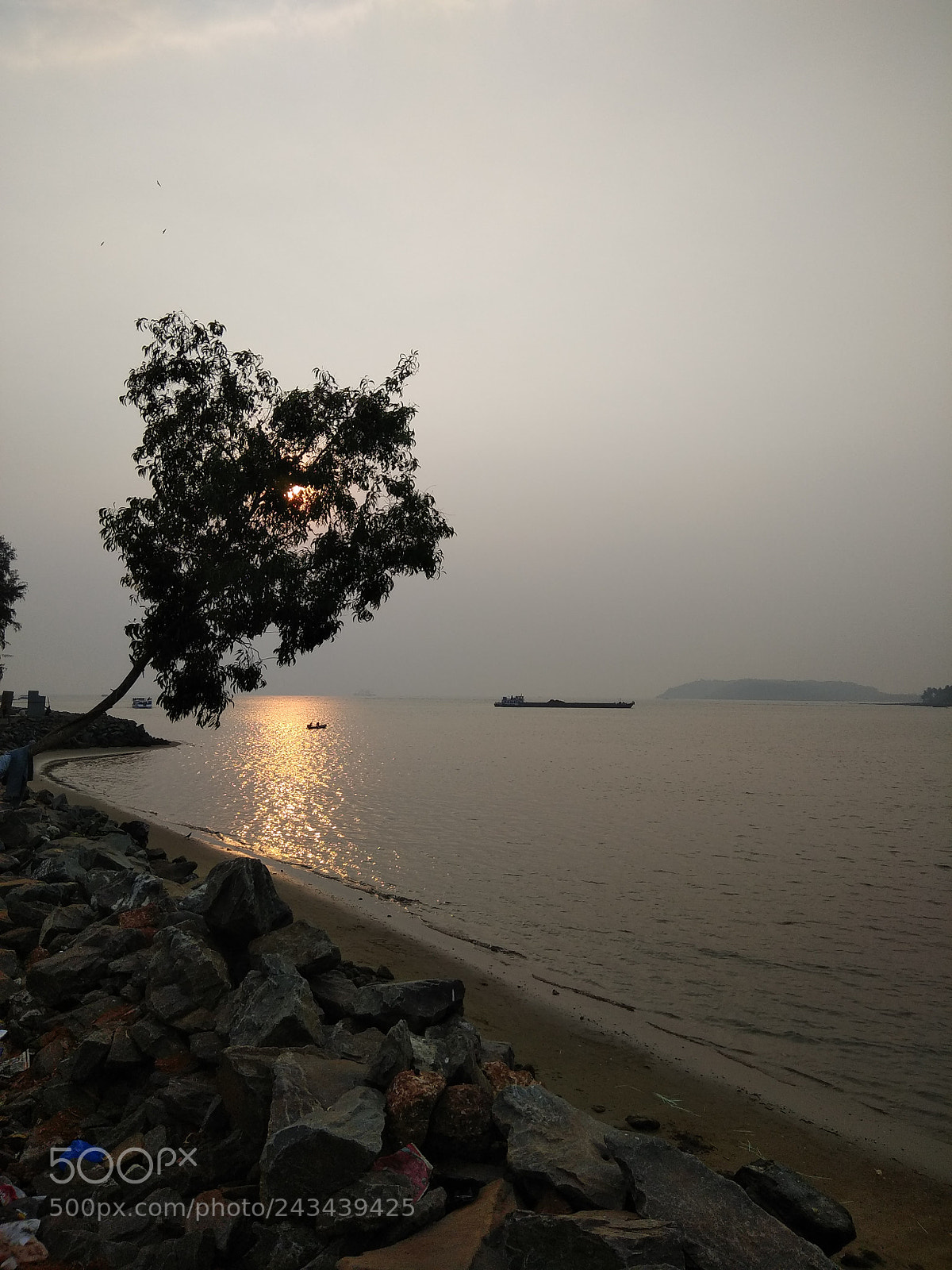 Xiaomi Redmi Note 4 sample photo. Img_20180116_172837.jpg photography