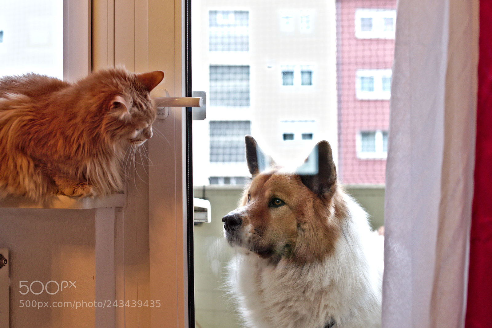 Pentax K-1 sample photo. I won't let you photography