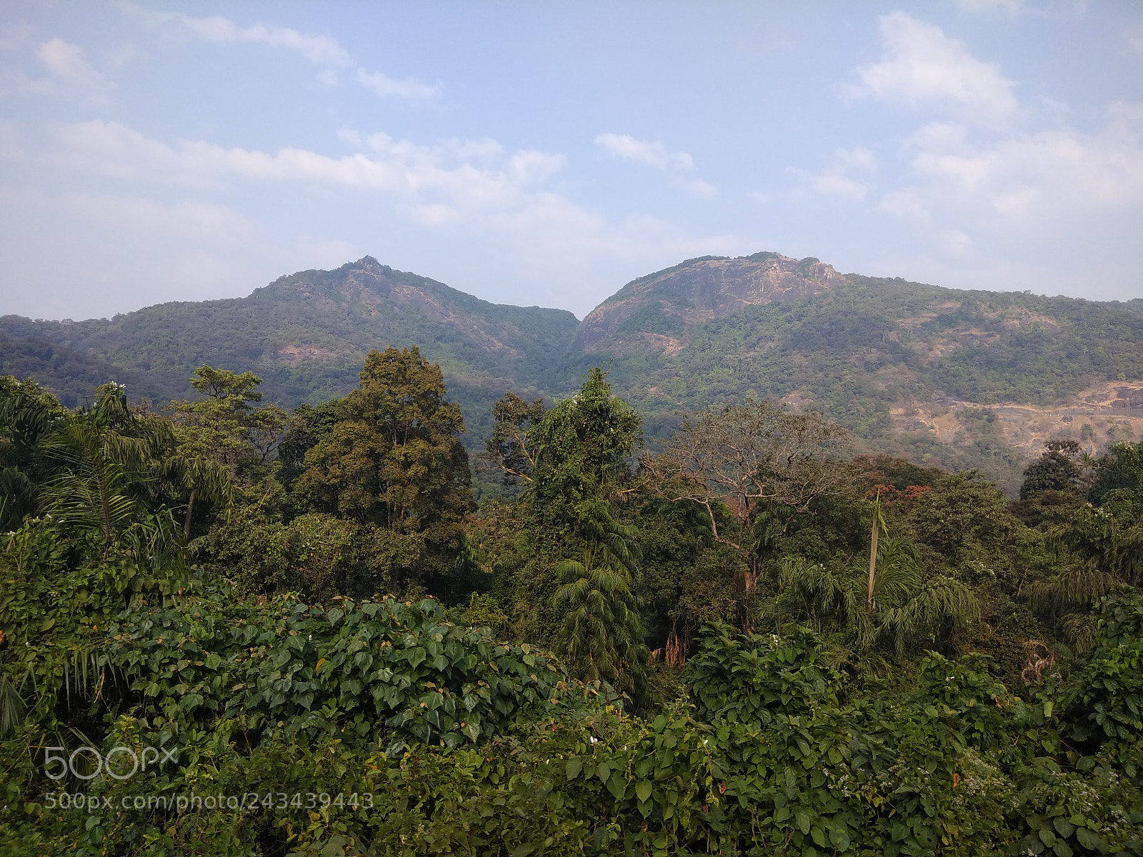 Xiaomi Redmi Note 4 sample photo. Img_20180111_153754.jpg photography