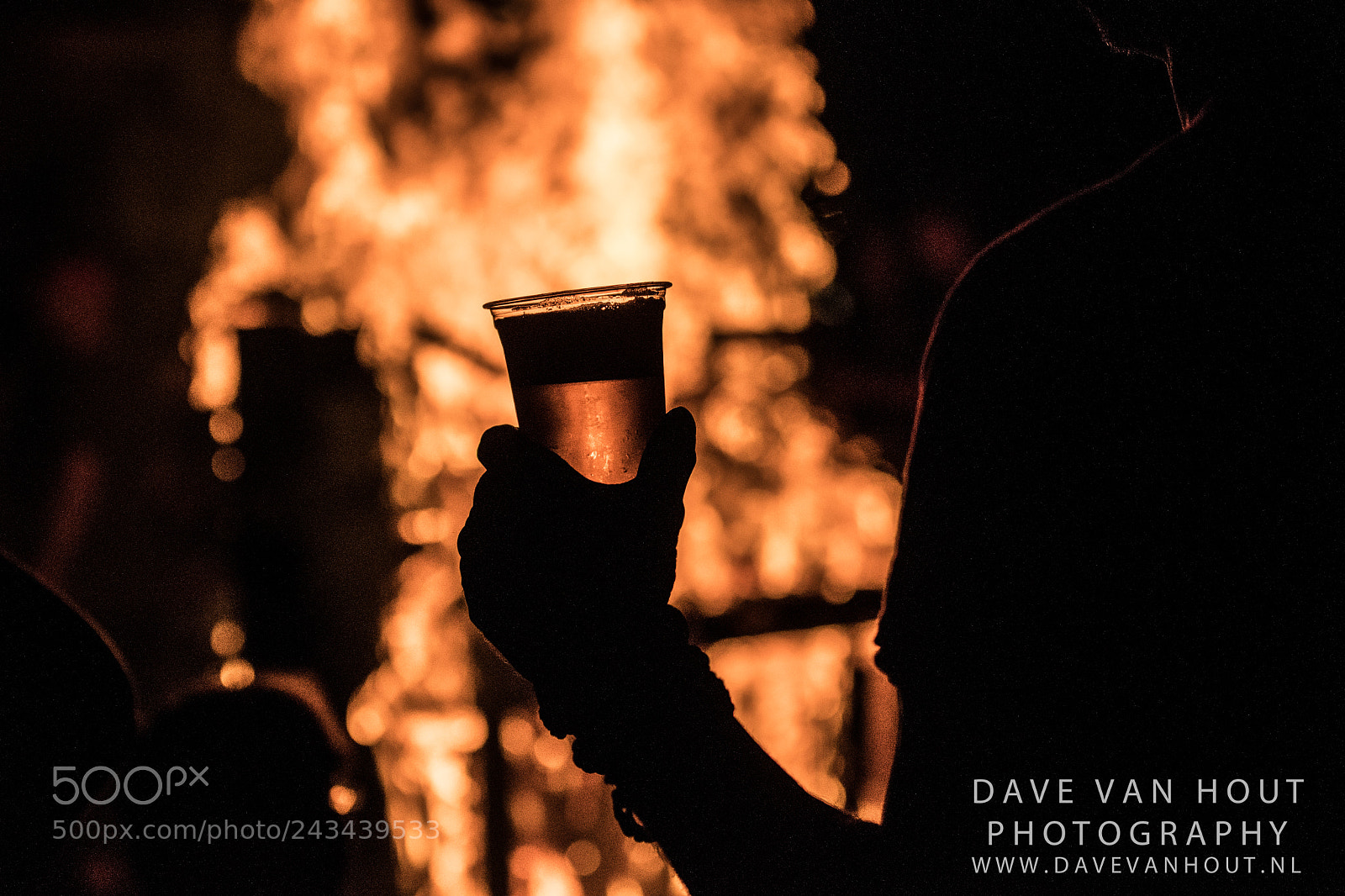Nikon D500 sample photo. Festival the brave photography